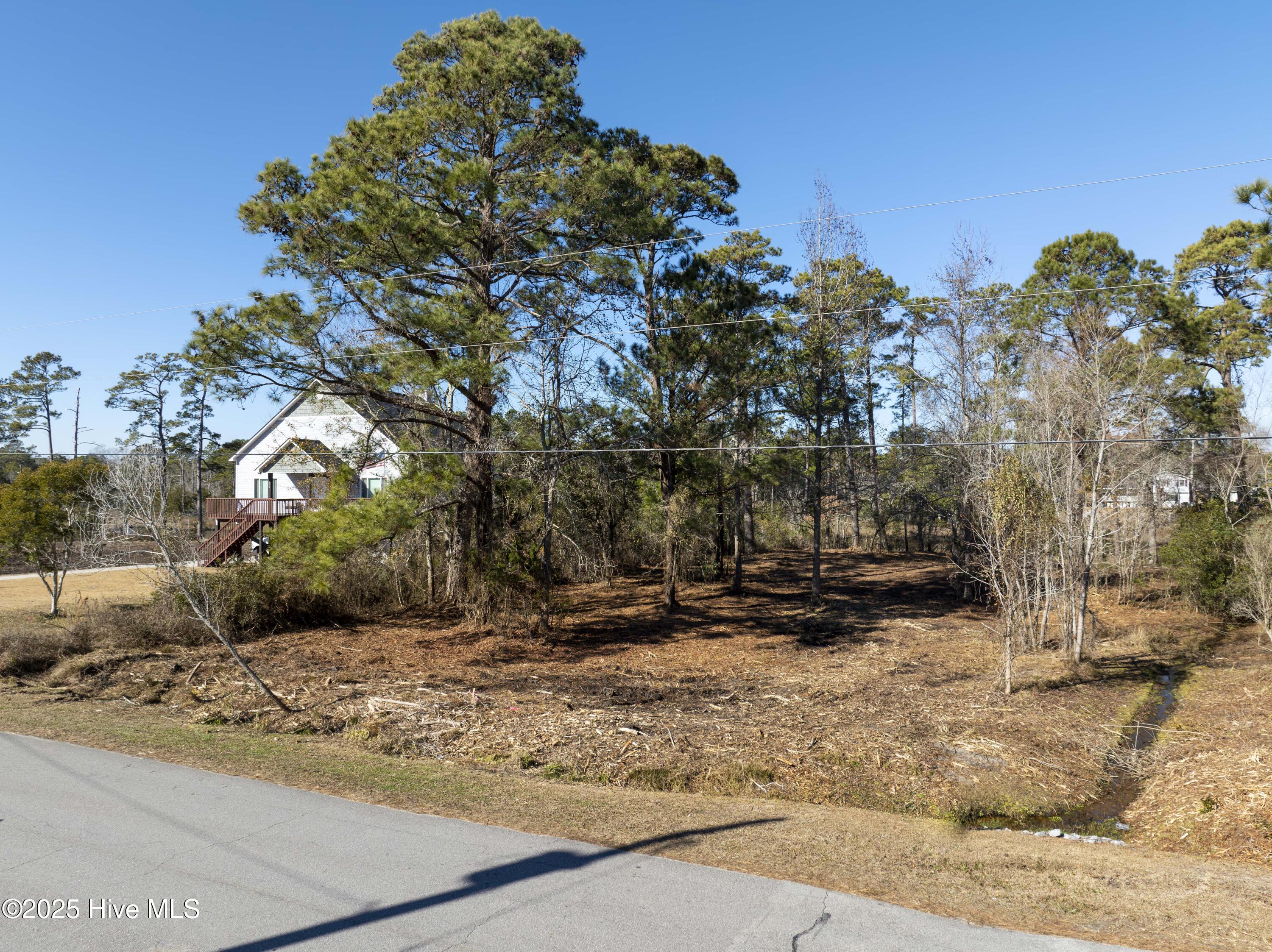 100559086 | Photo 32