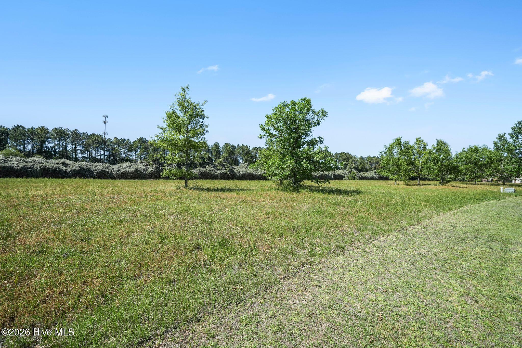 124 Sycamore Lakes Drive, Wallace, NC, 28466