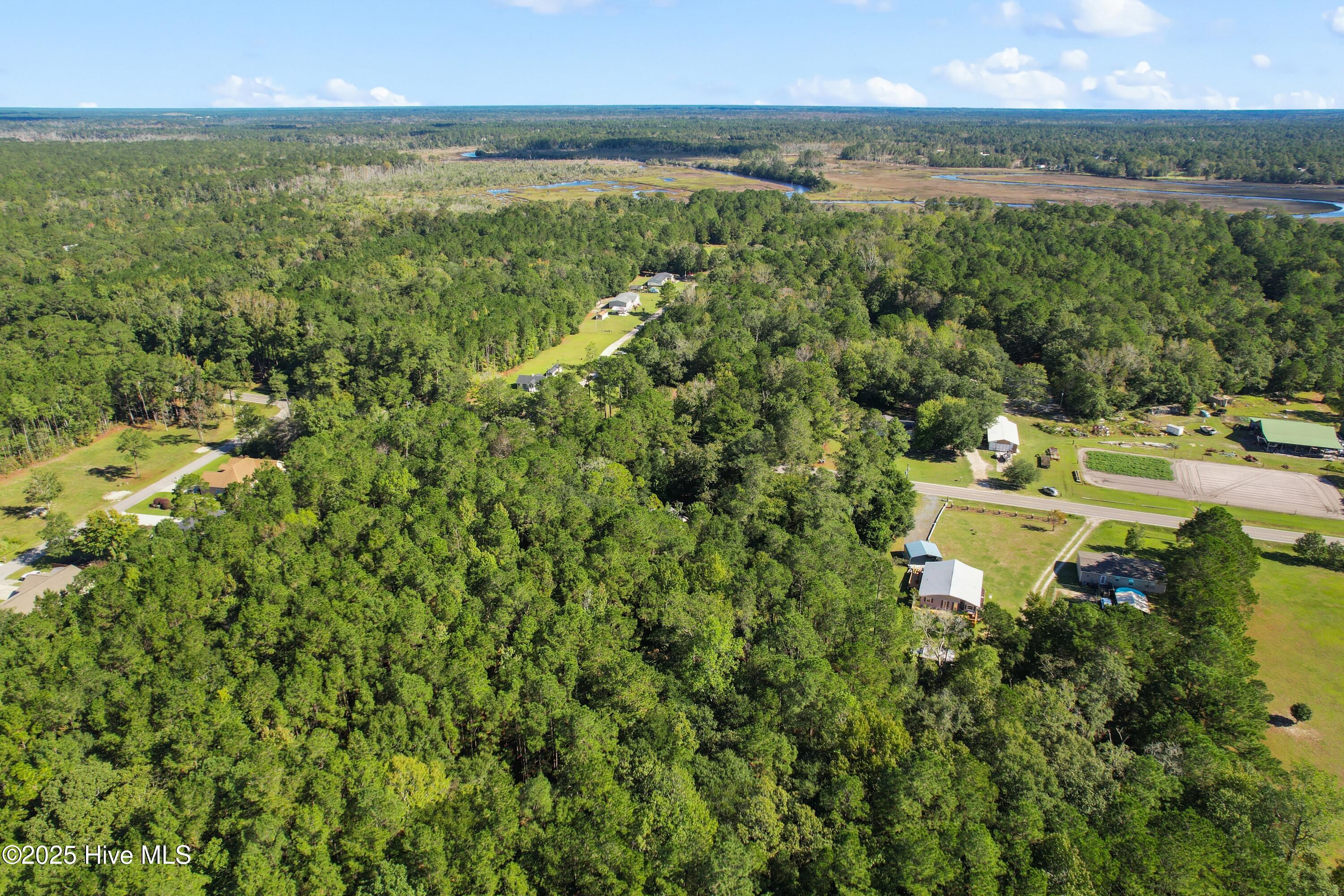 100538824 | Photo 11