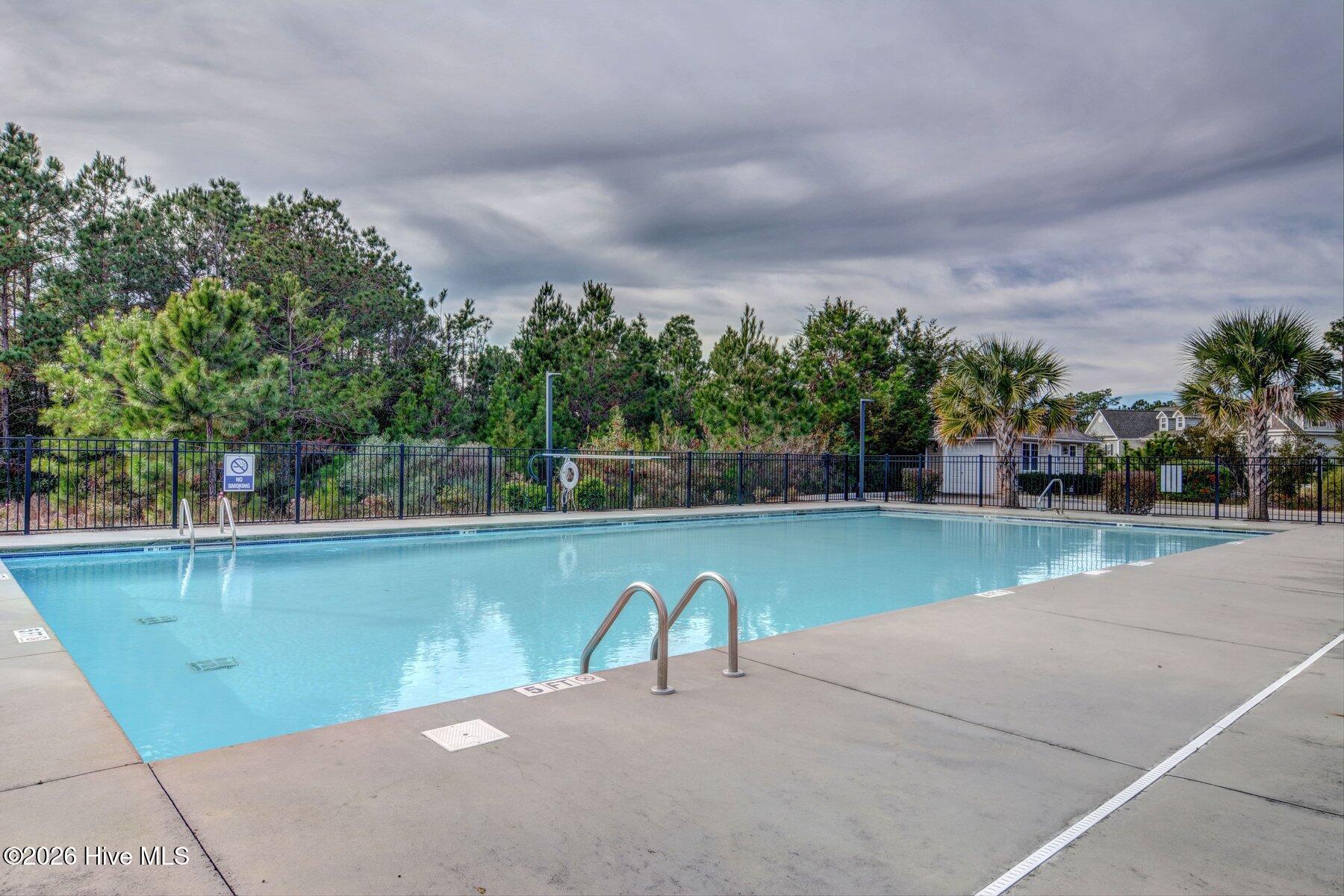 100556817 | Photo 48