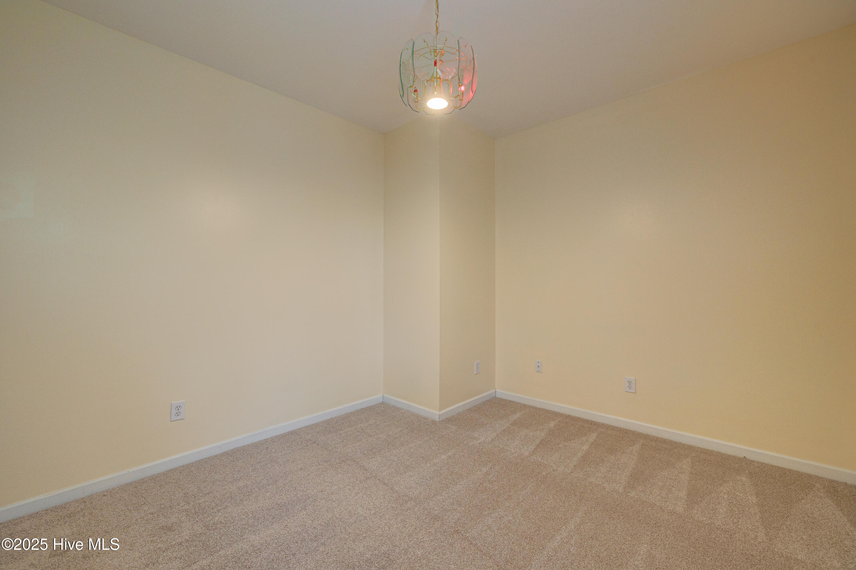 100567559 | Photo 30