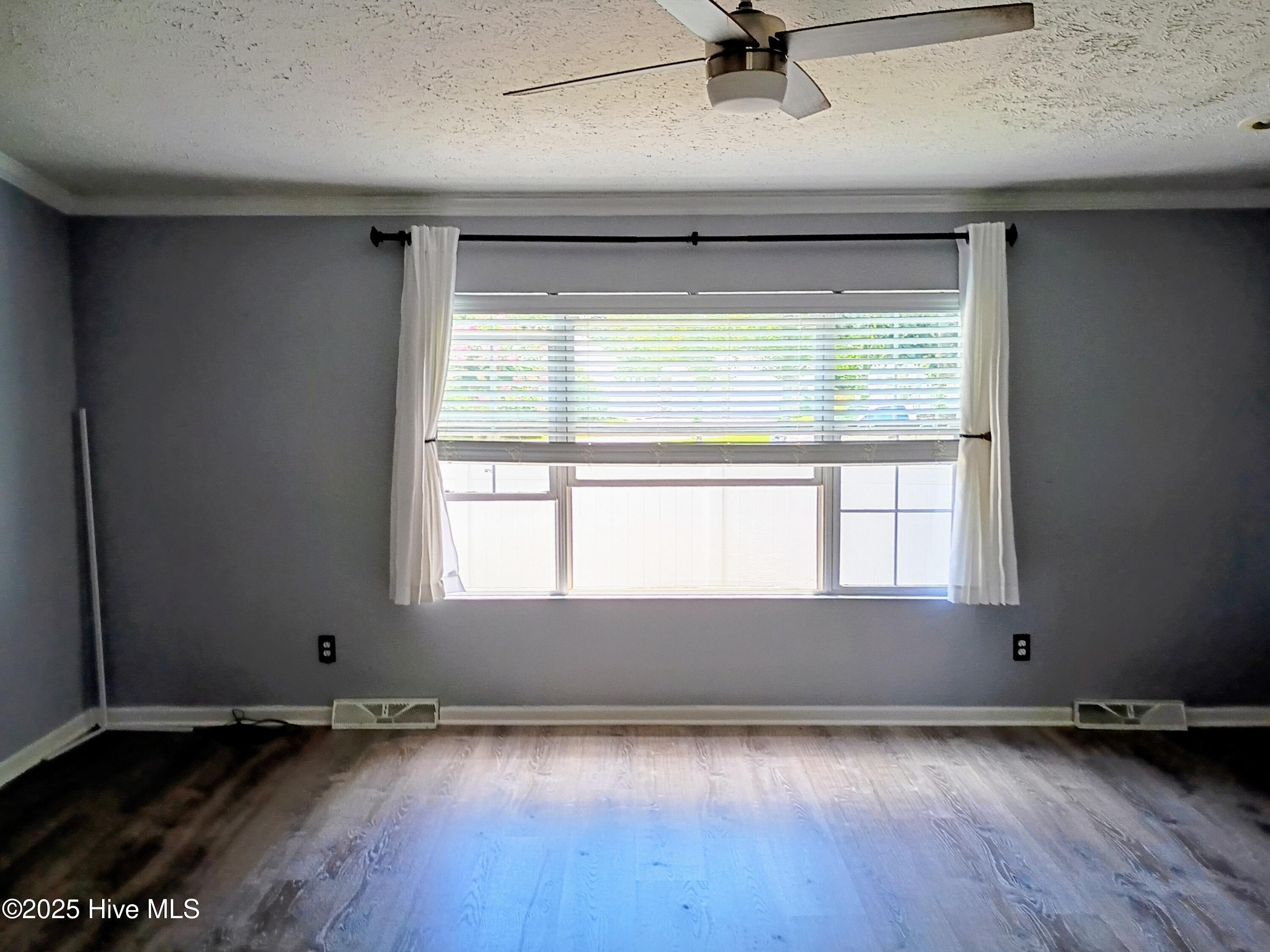 100519536 | Photo 22