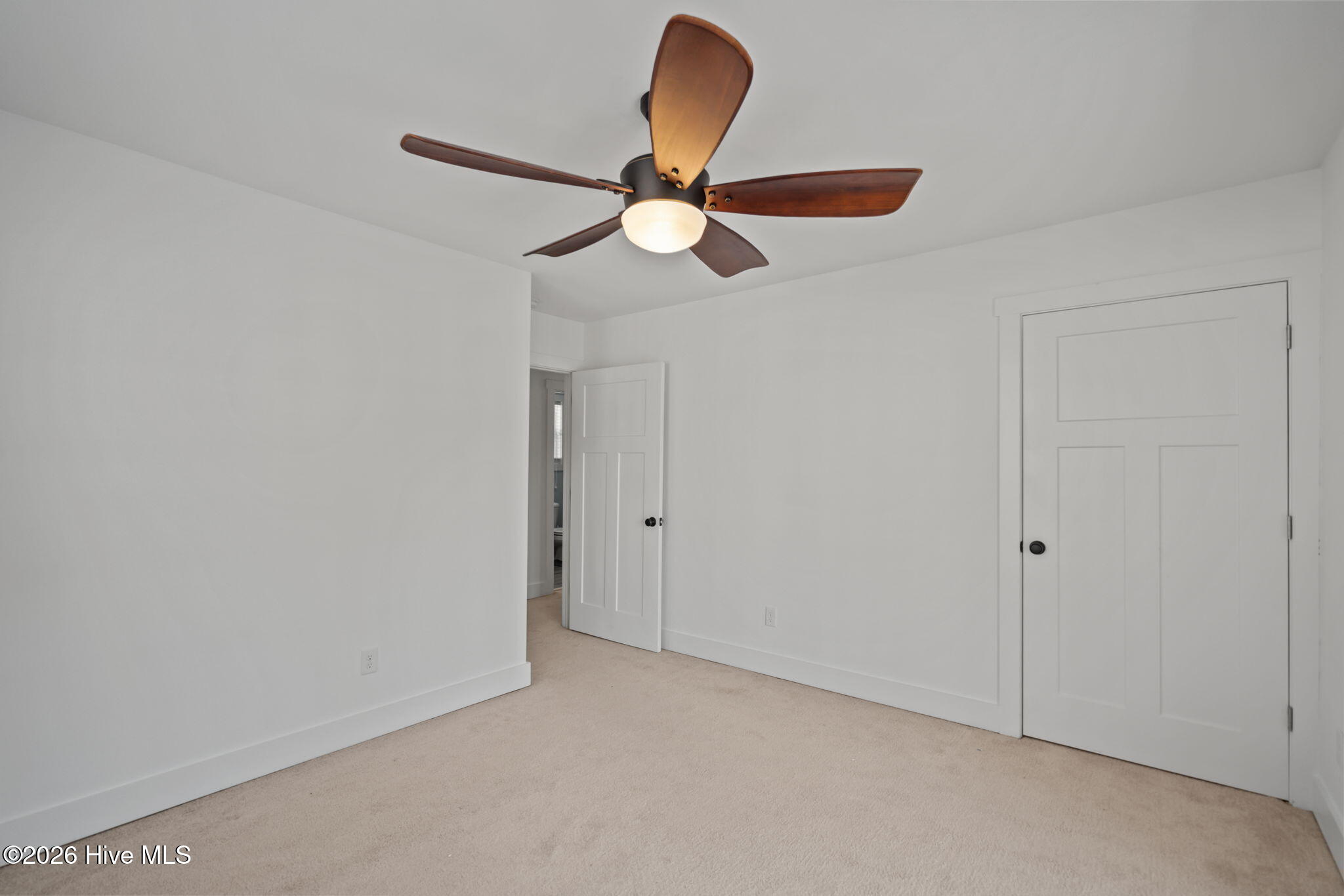 100559197 | Photo 34