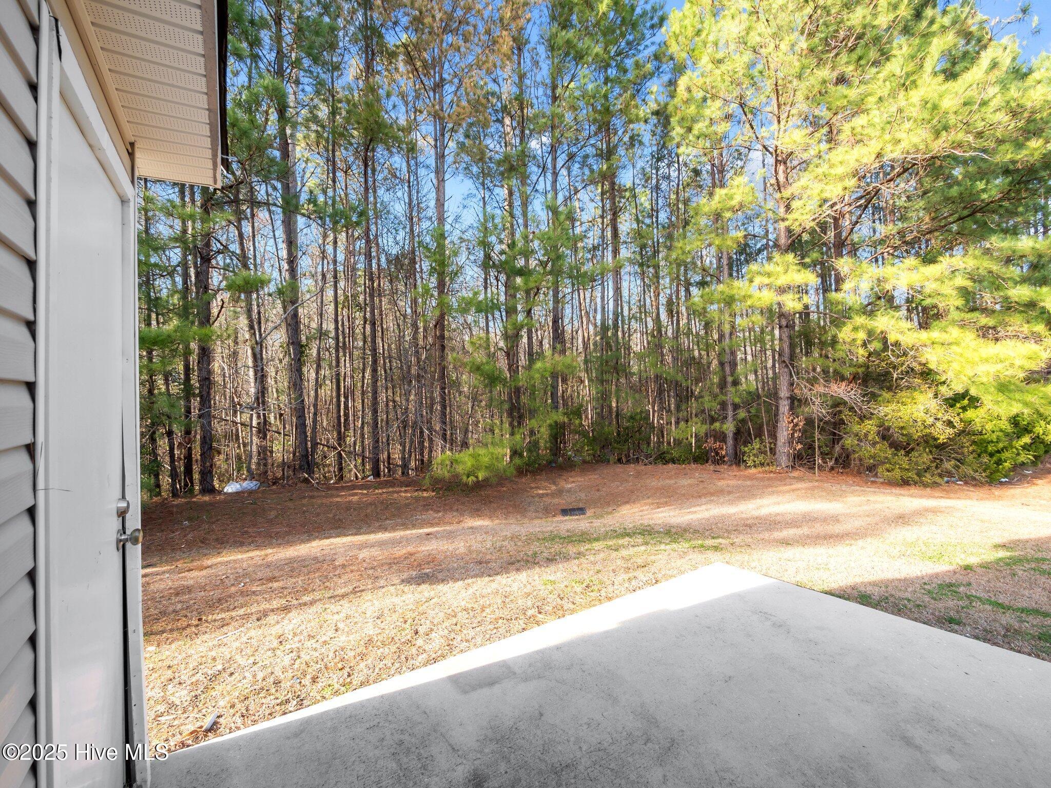 100570696 | Photo 25