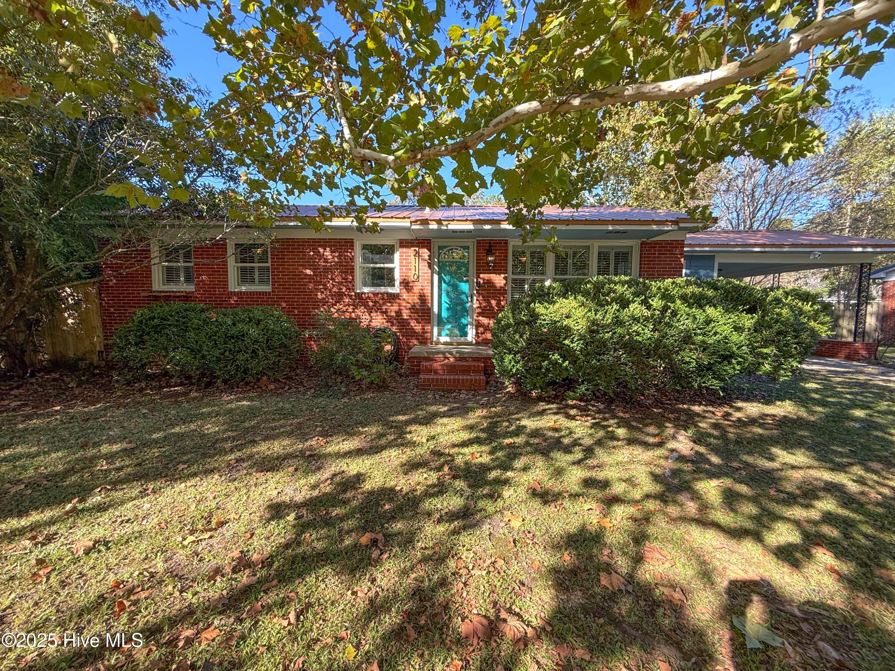 100537869 | Photo 64