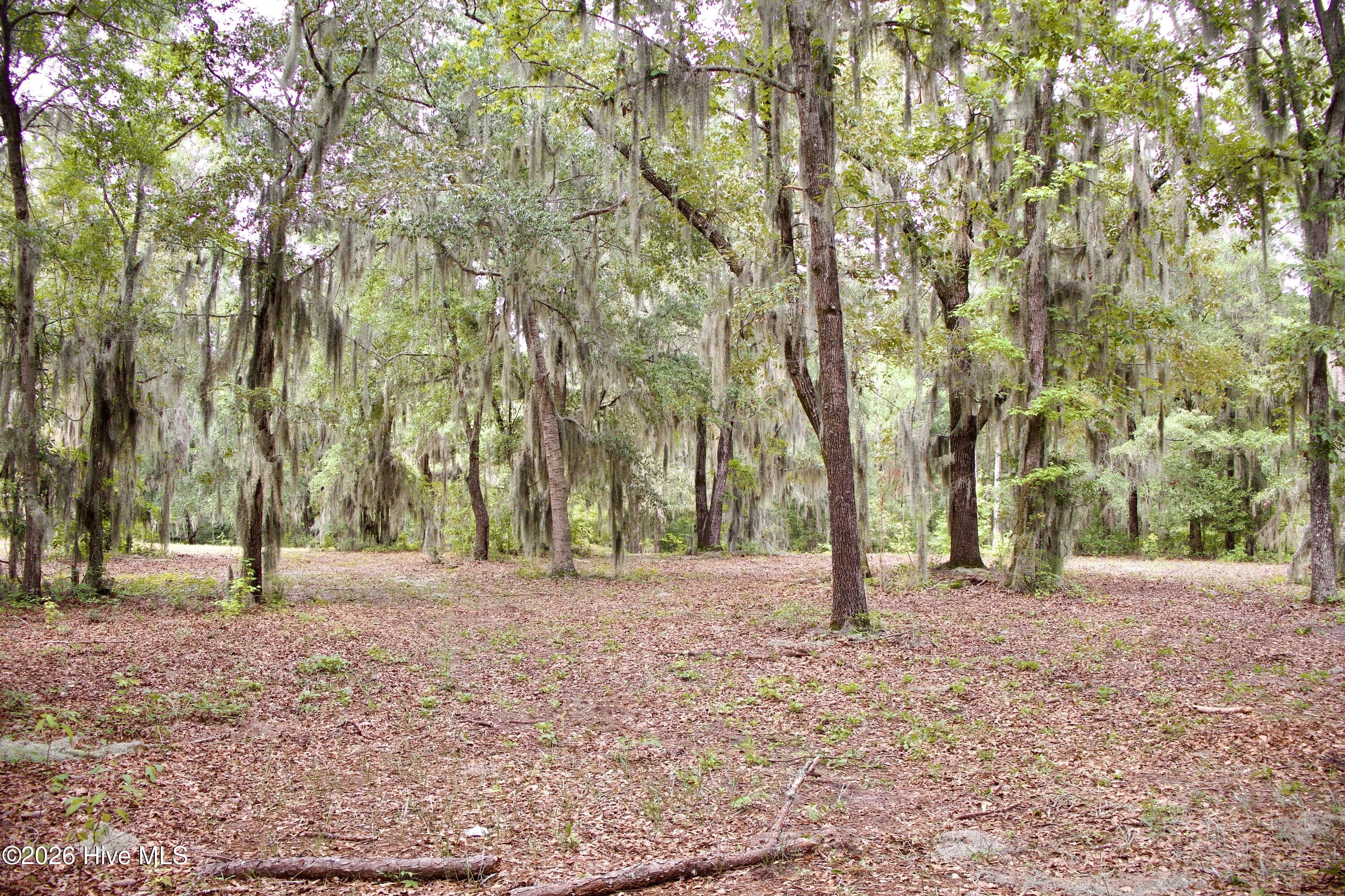 385 Sand Ridge Road,New Bern