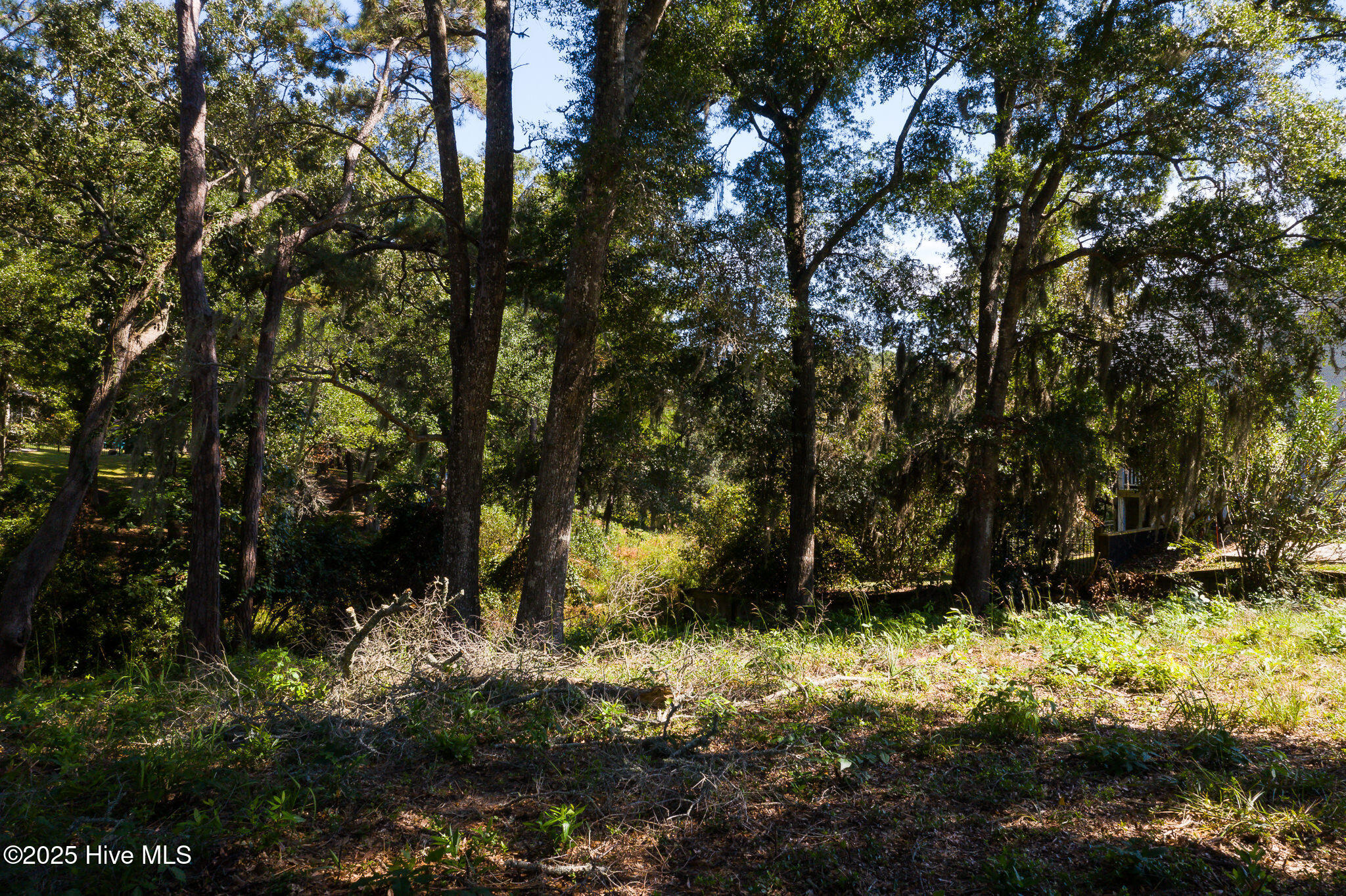 100533242 | Photo 12