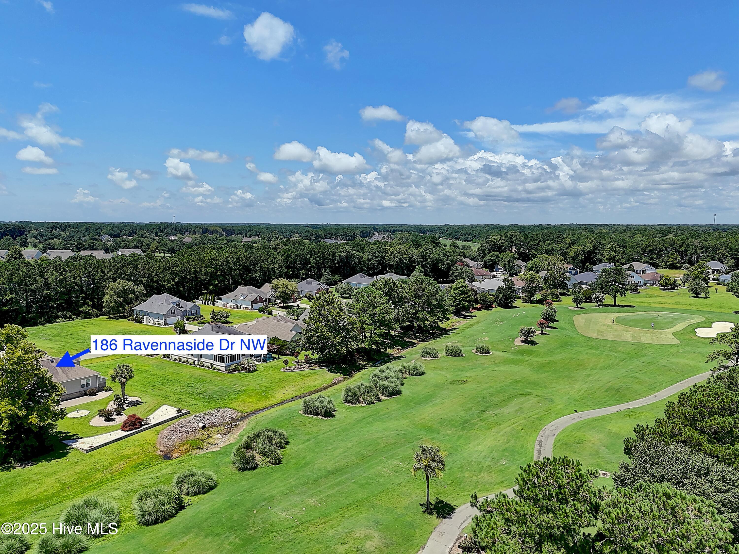 100518385 | Photo 40