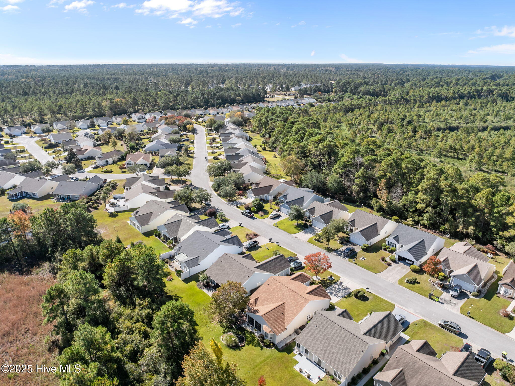 100540137 | Photo 44