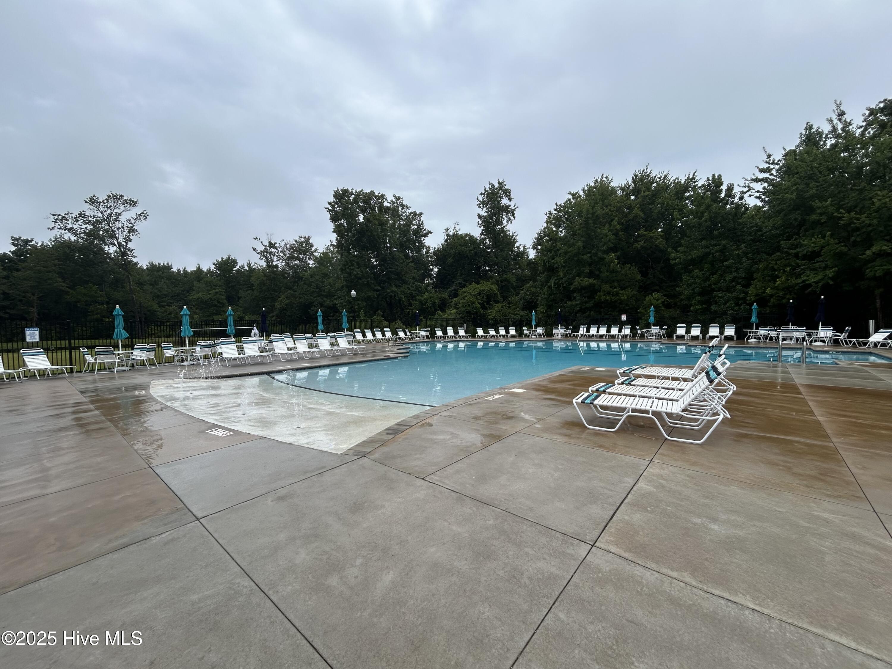 100561165 | Photo 35