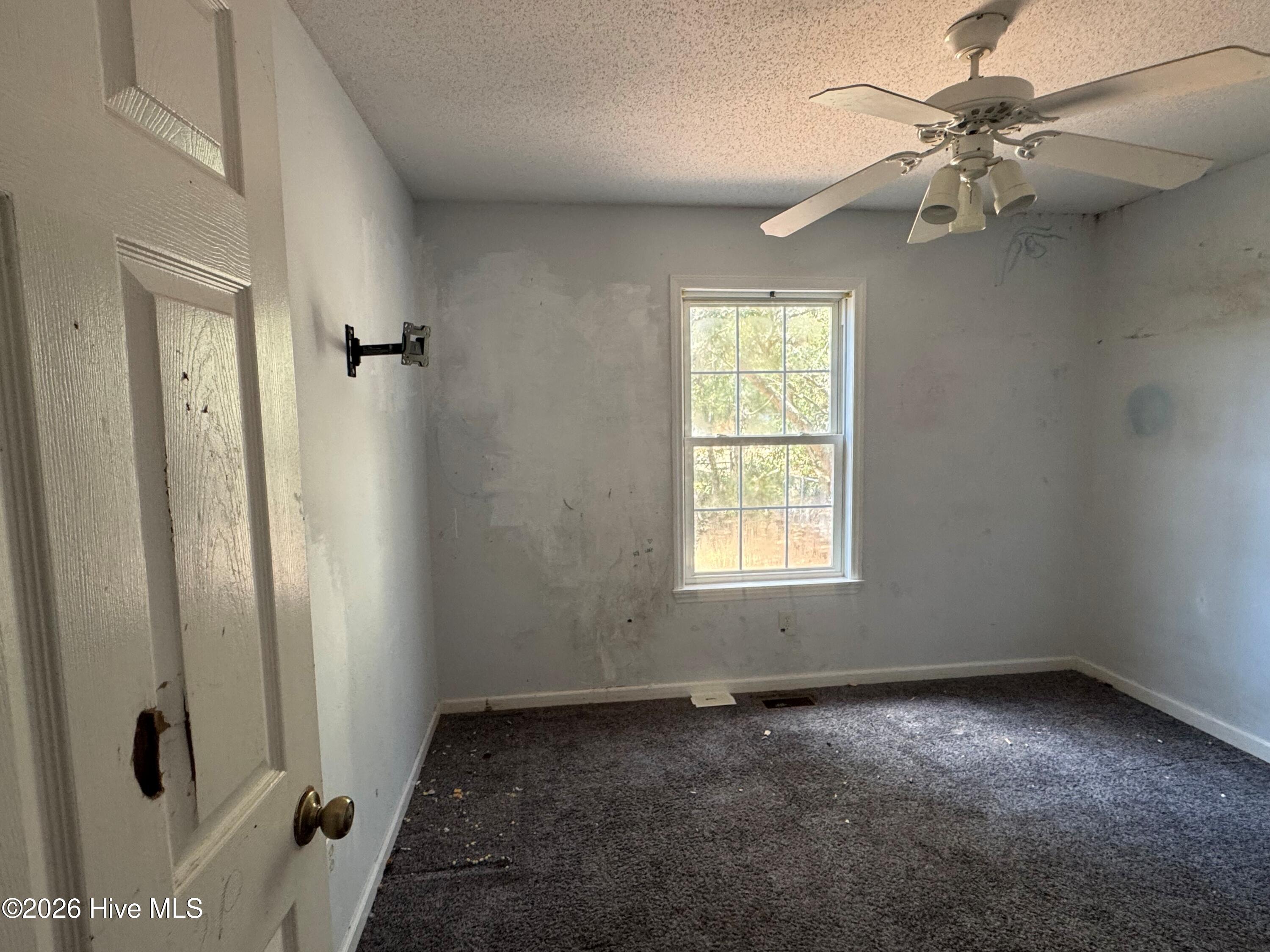 100561066 | Photo 21