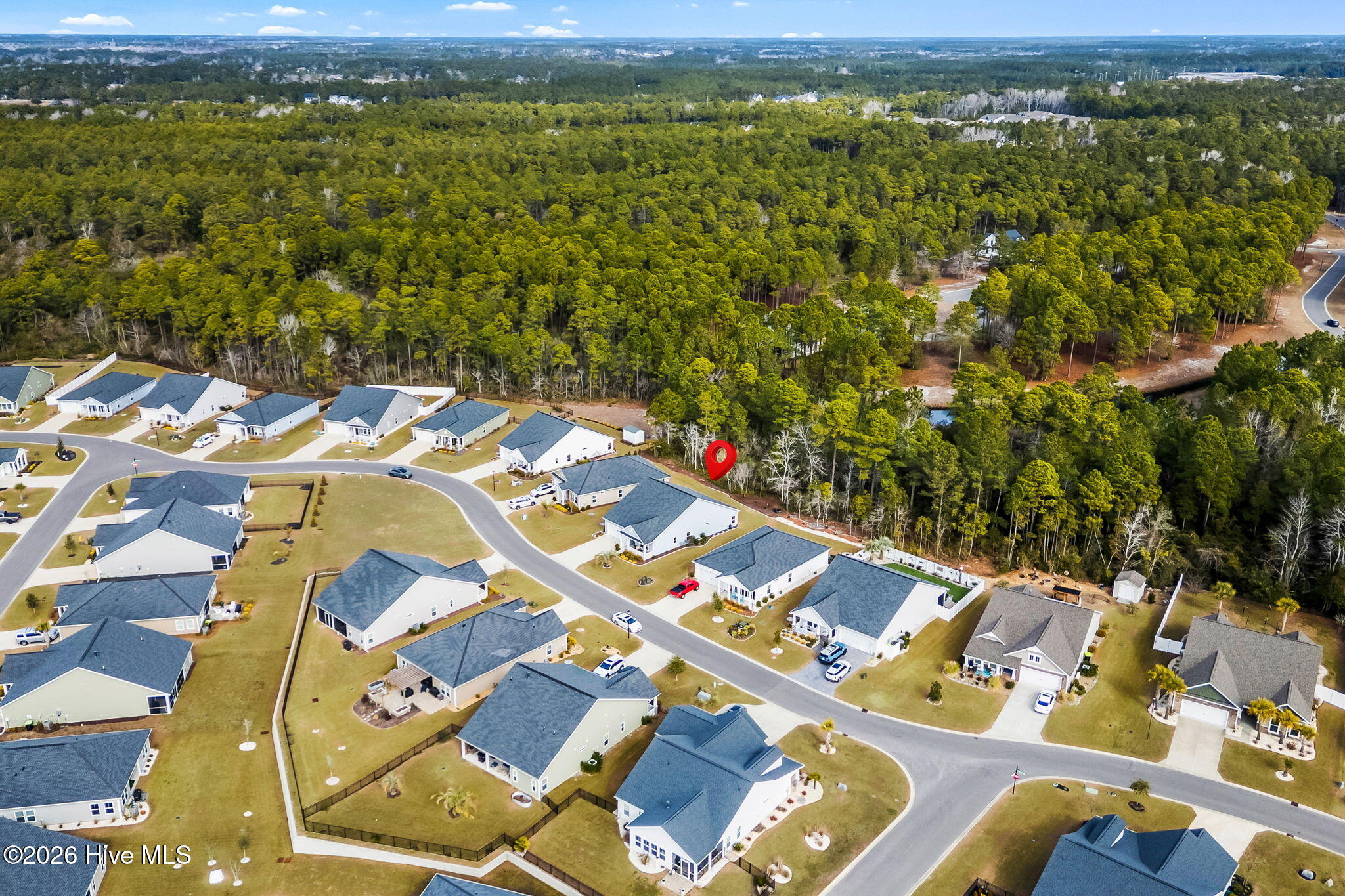 100552954 | Photo 40