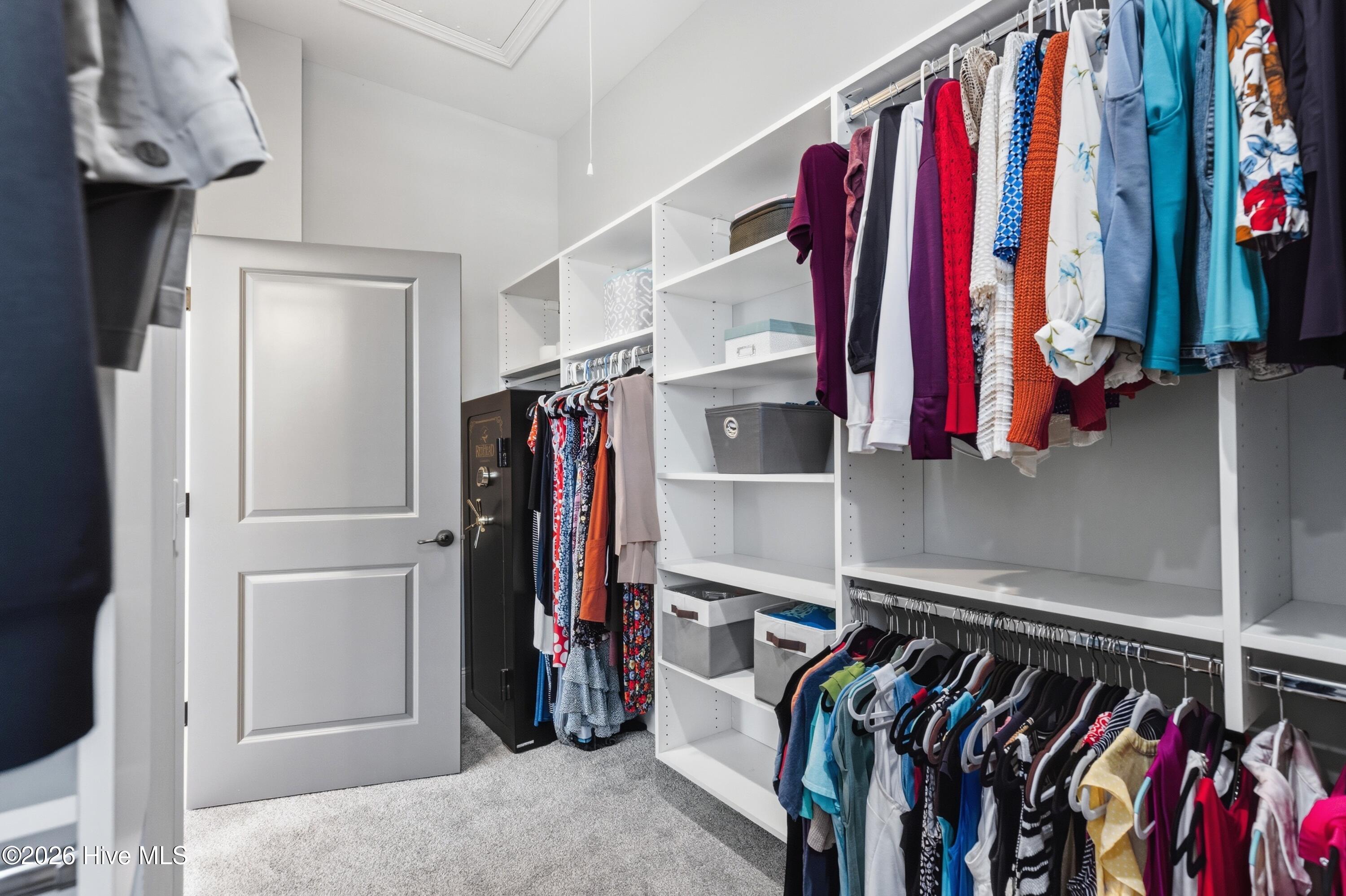 100556078 | Photo 48