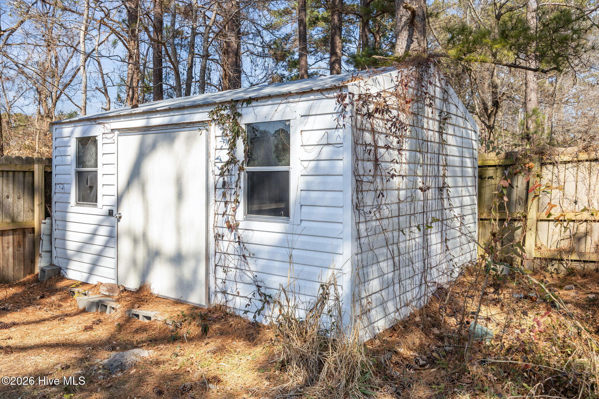 100554228 | Photo 22