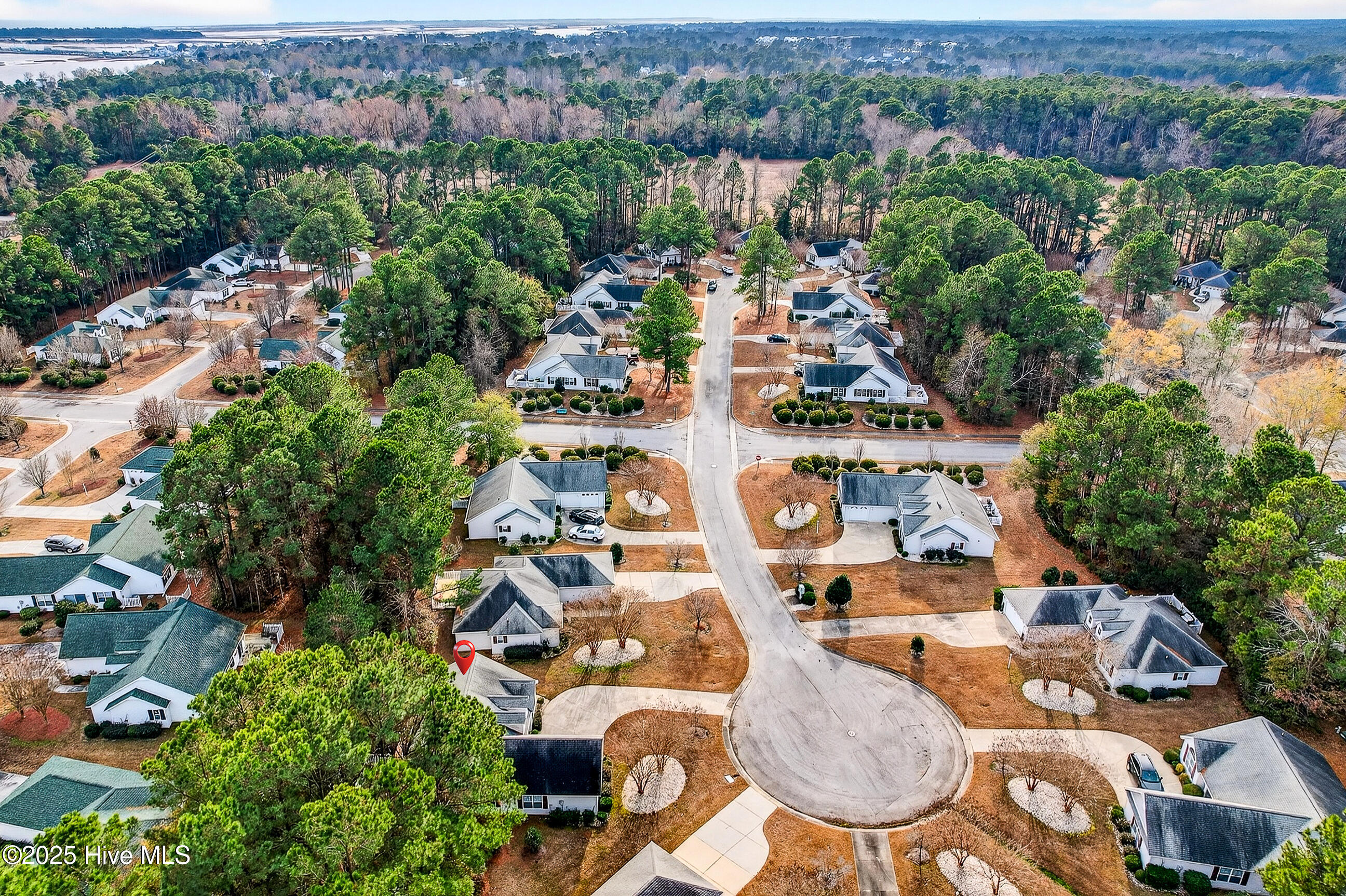 100546010 | Photo 35