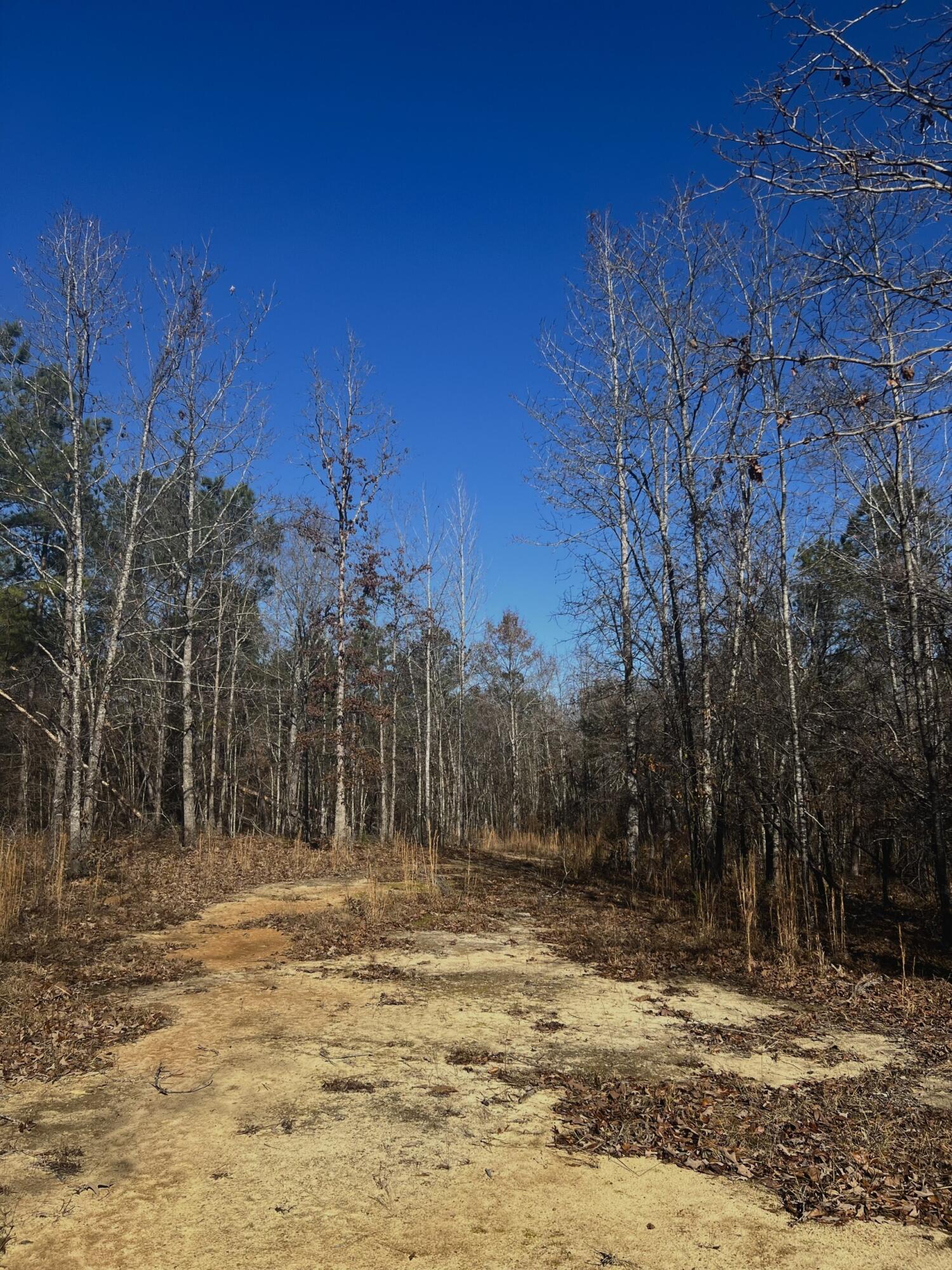 Homes for sale in Keysville, GA | 6975 Hwy 80, Keysville, GA 30816 | MLS# 550341