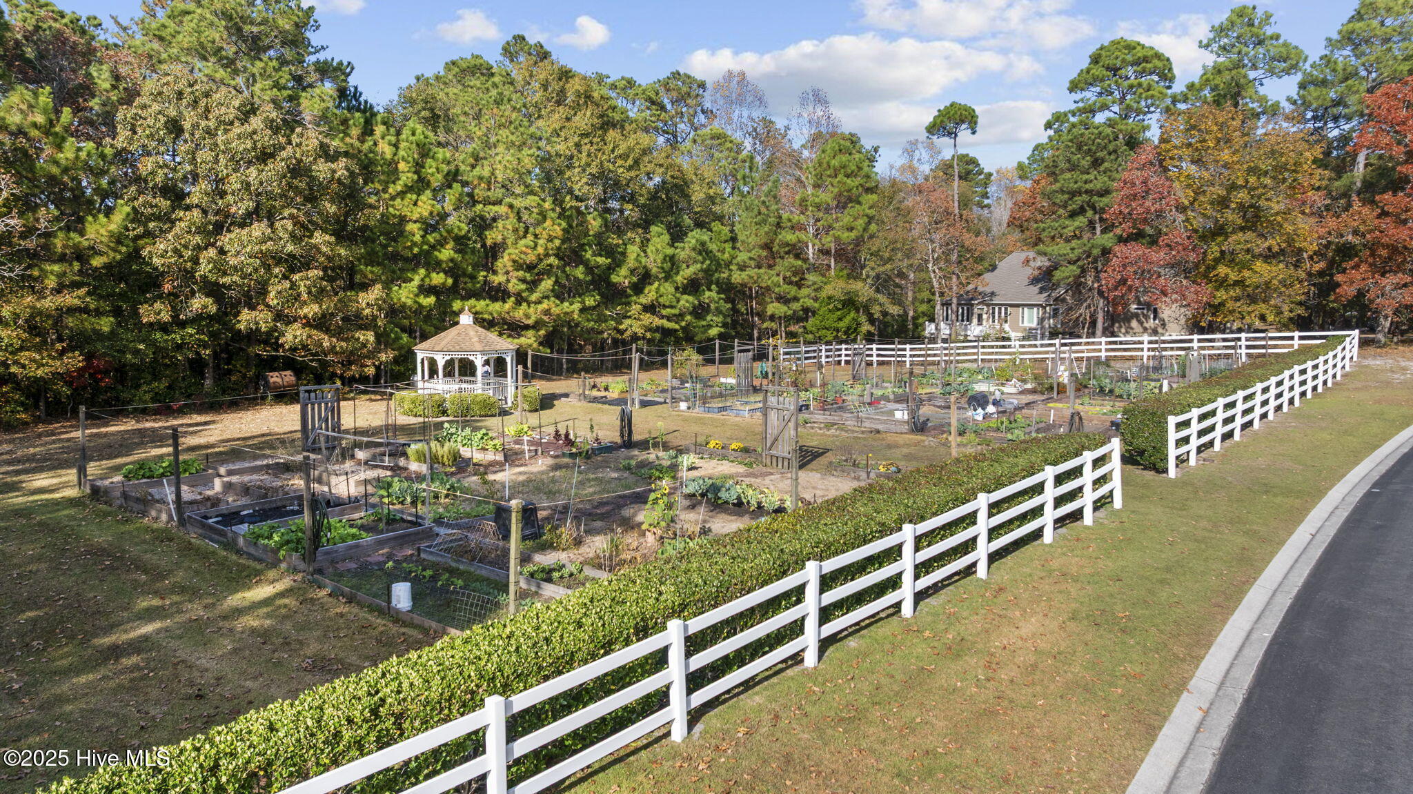 100542443 | Photo 37