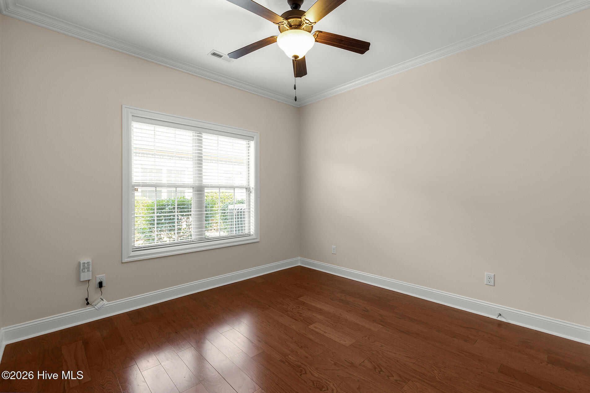 100556141 | Photo 32