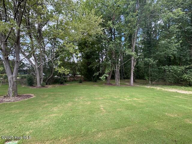 110 Firethorn Circle, Wallace, NC 28466 – photo 13: 110 Firethorn