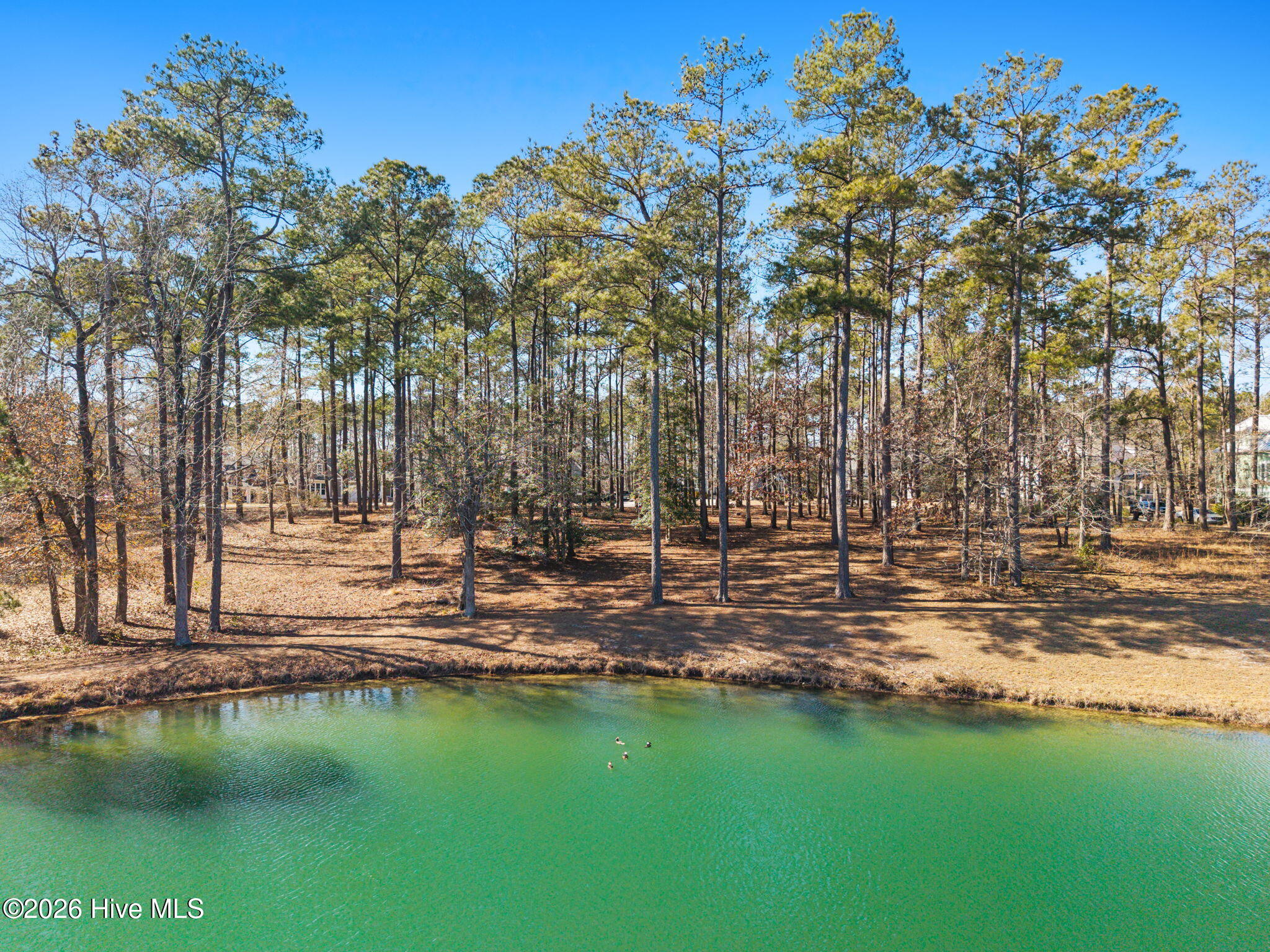 100554844 | Photo 10