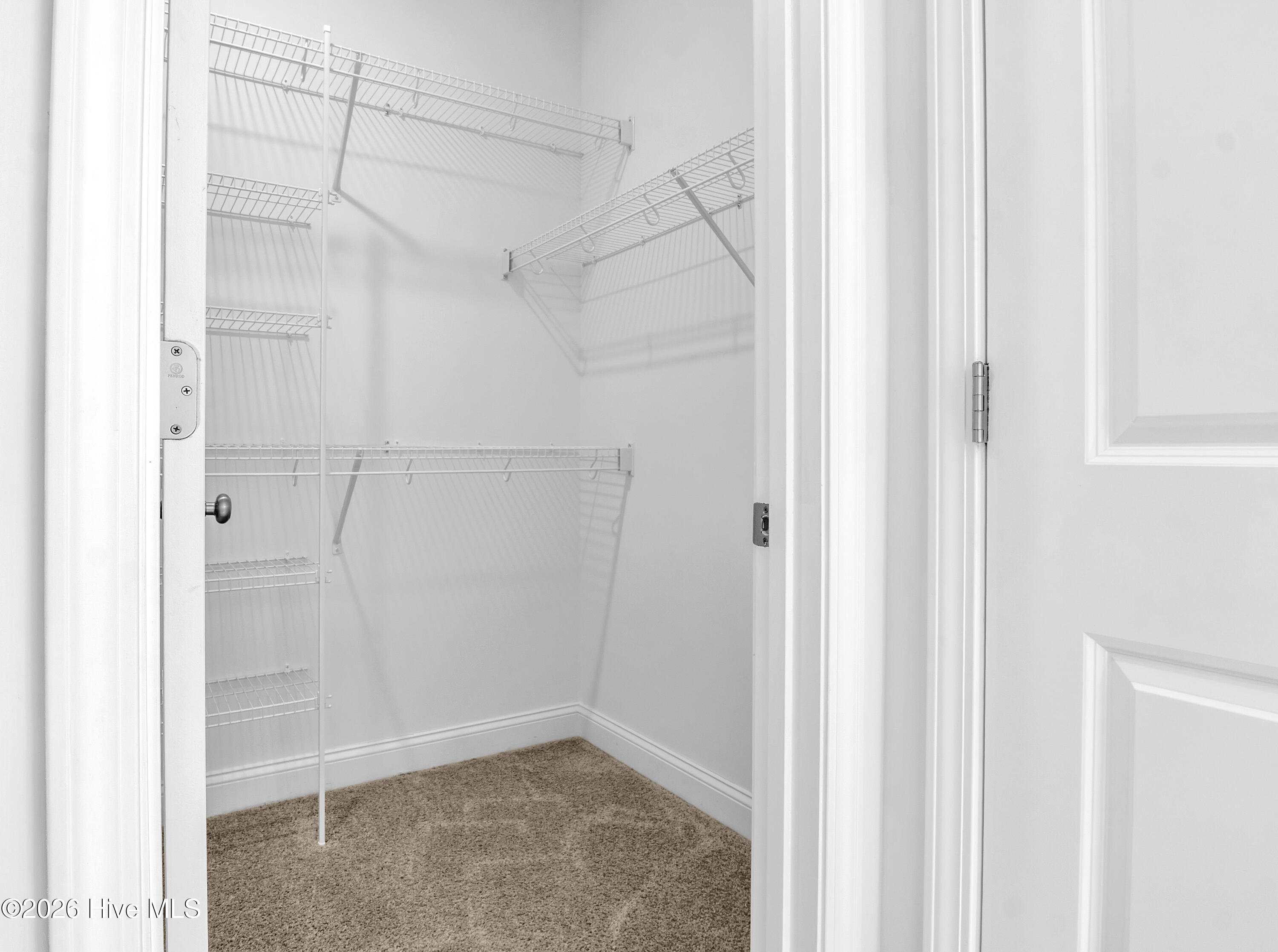 100563590 | Photo 27