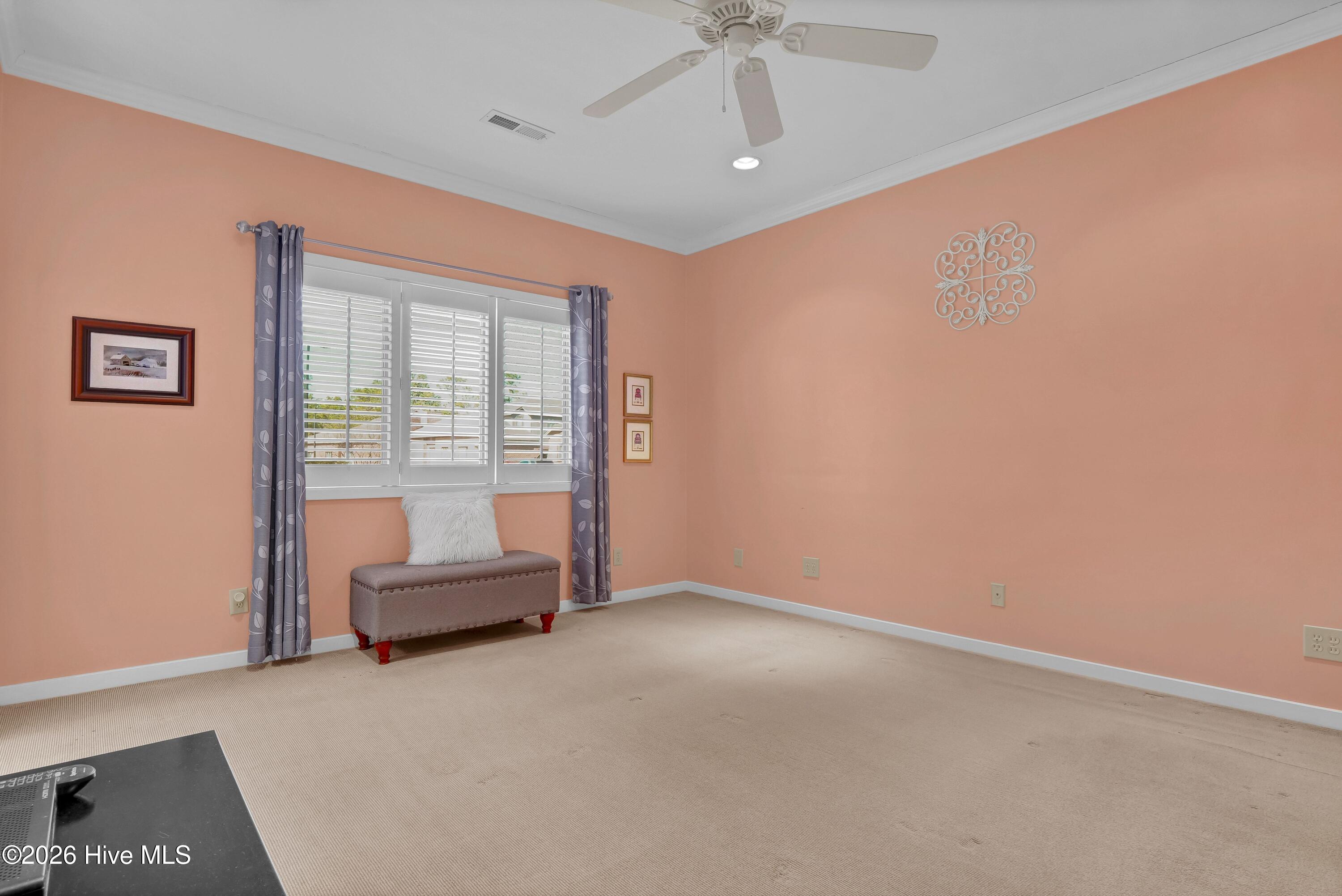 100555584 | Photo 21