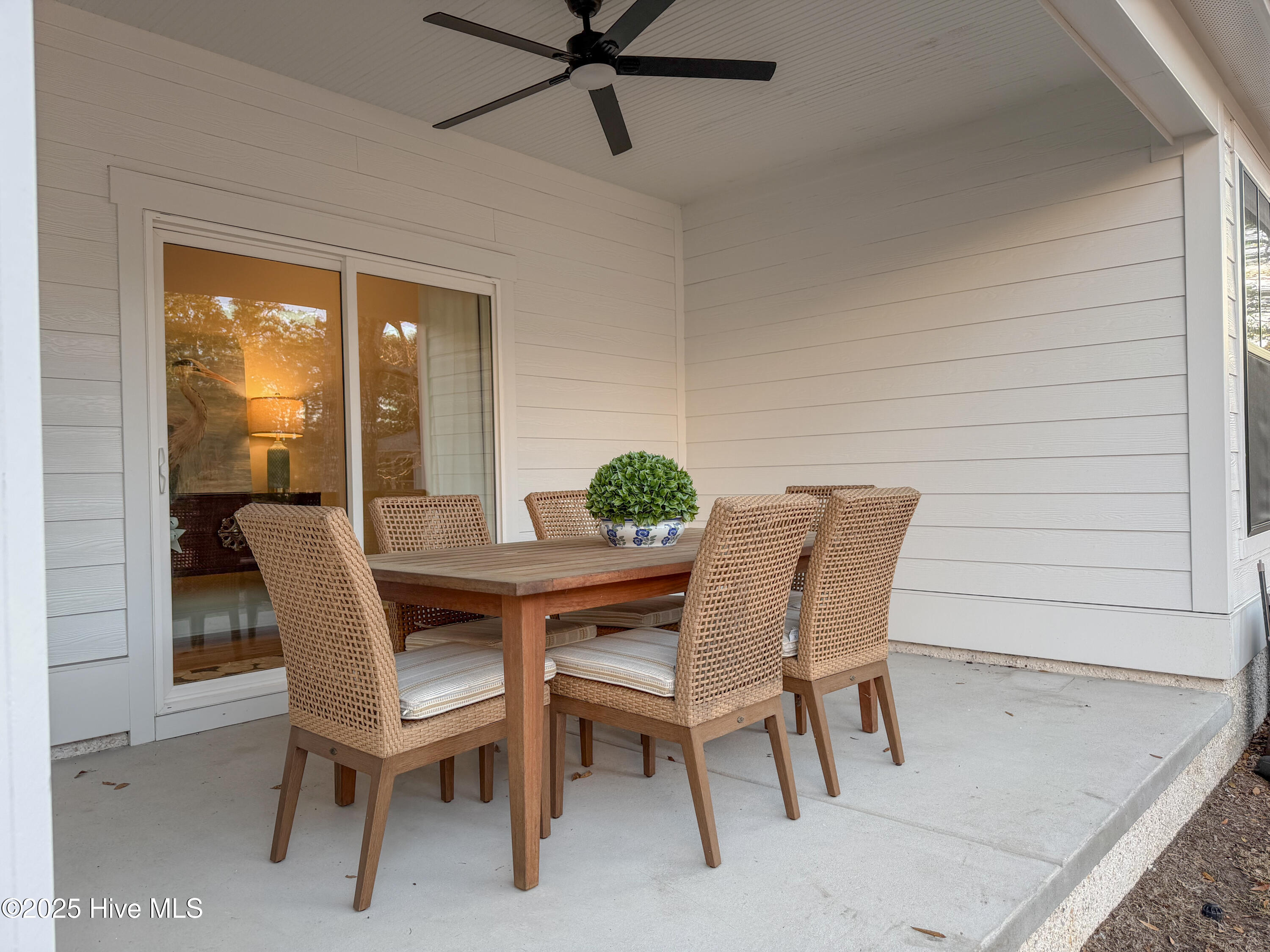 100546436 | Photo 52