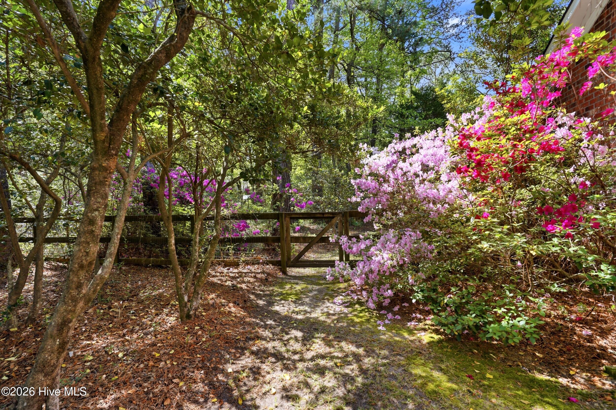 100570431 | Photo 50