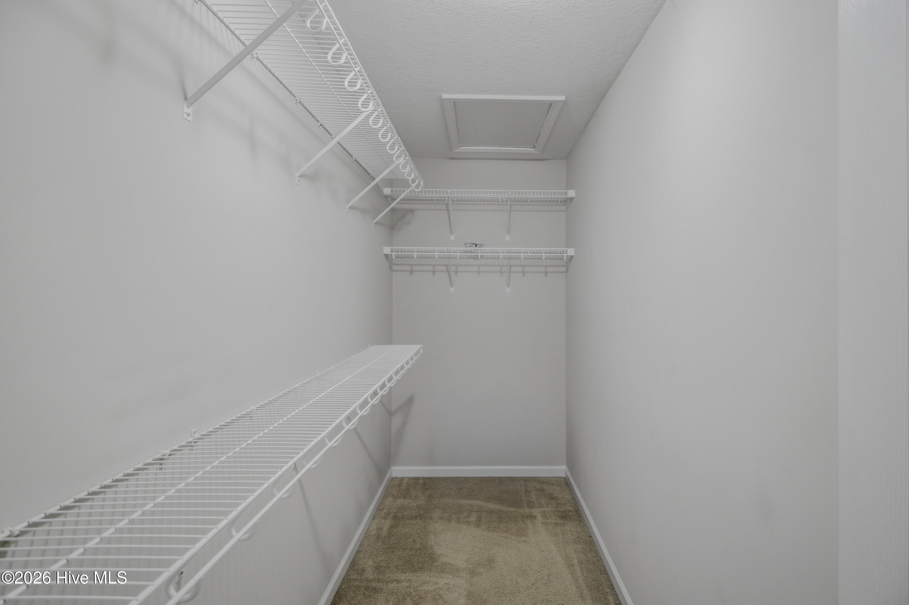 100568409 | Photo 19