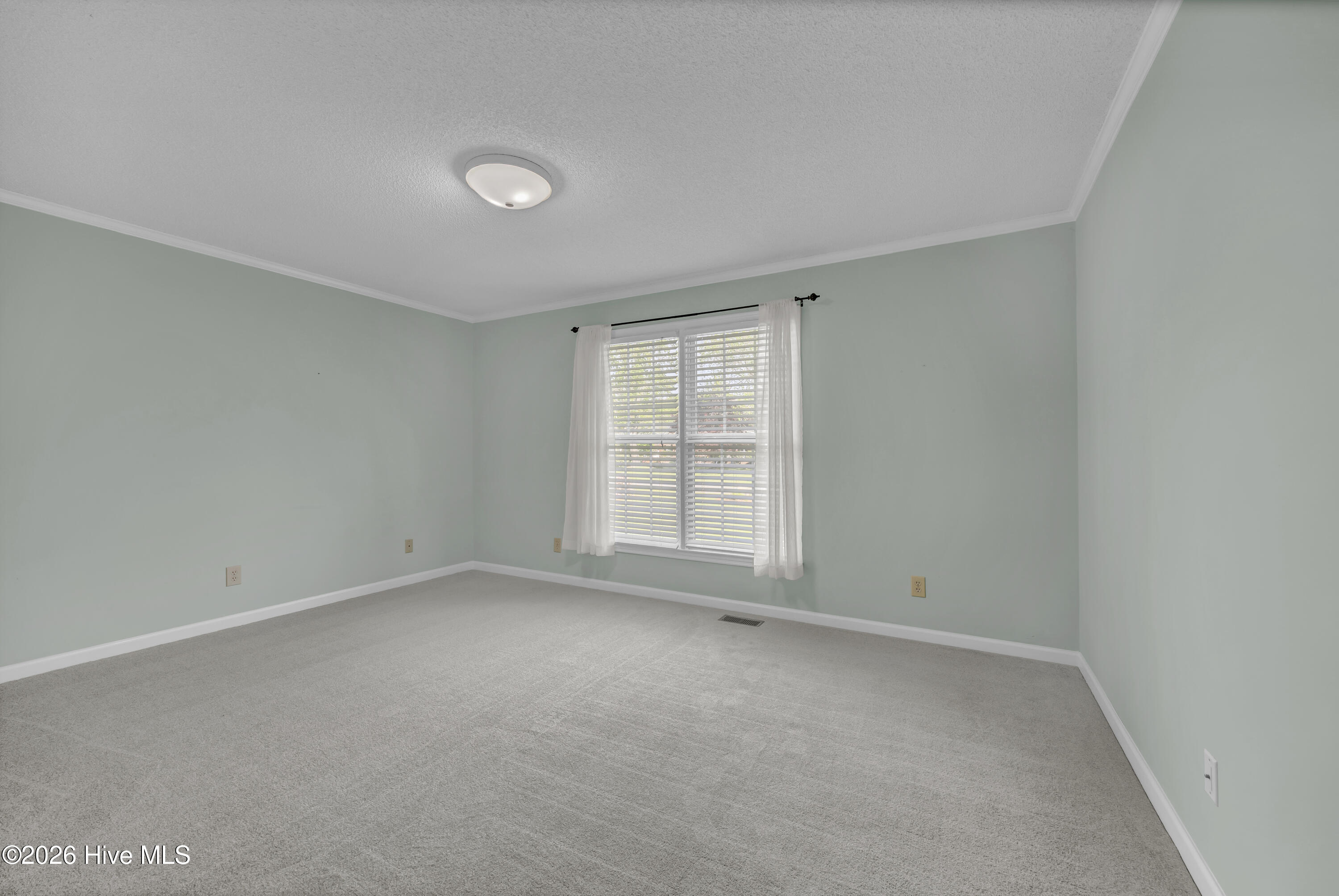 100567134 | Photo 22