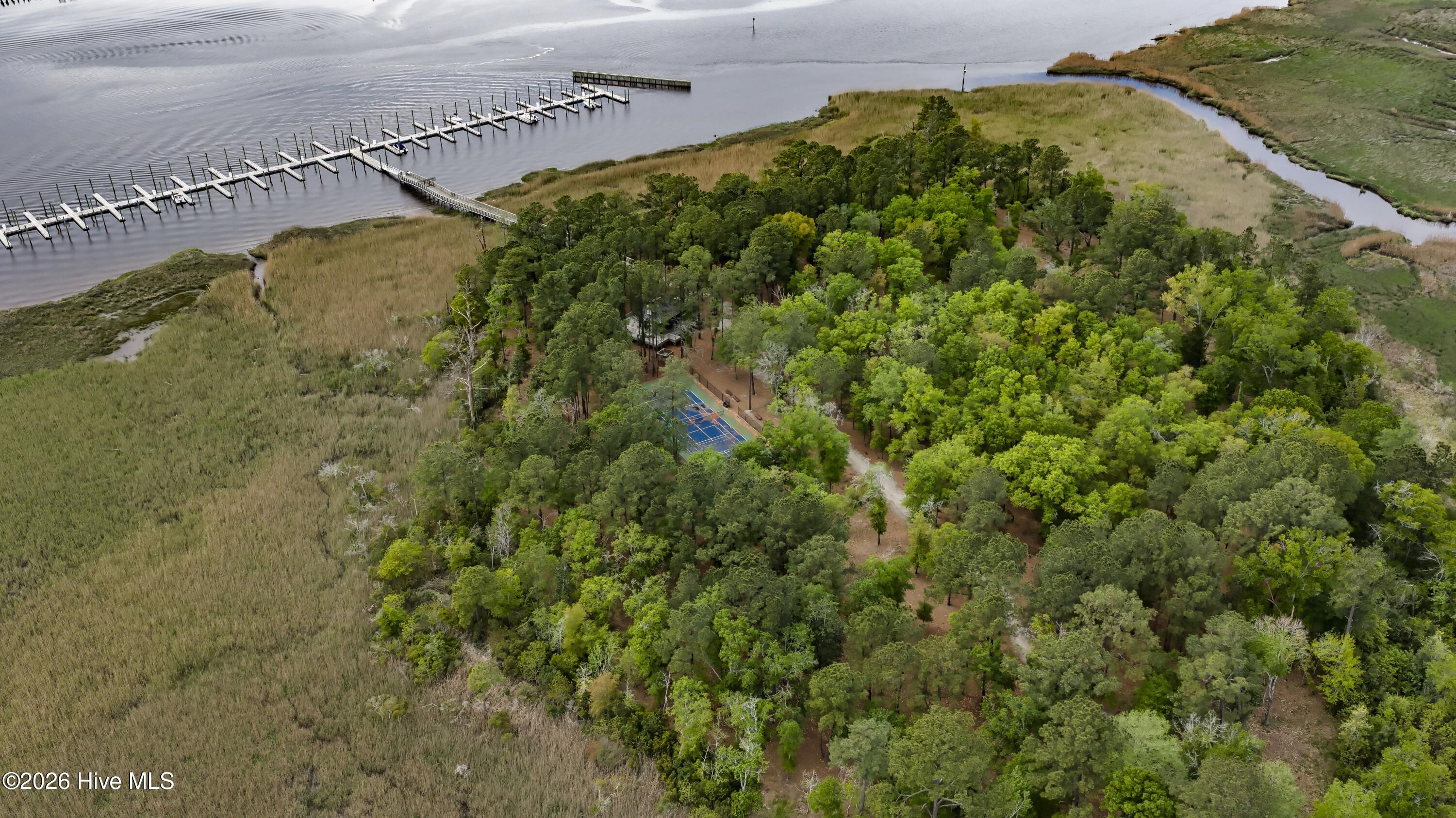 100565656 | Photo 52