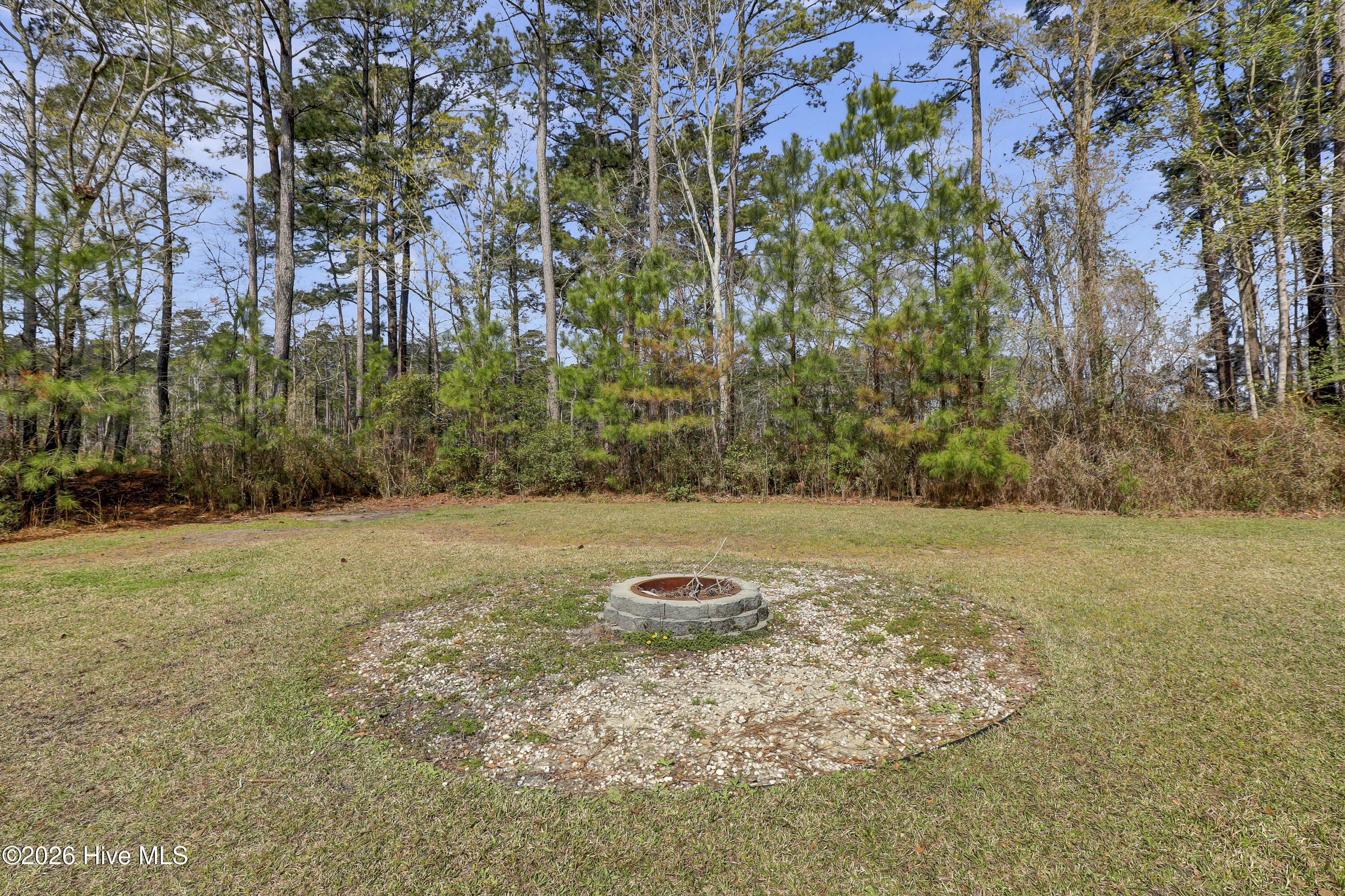 100562541 | Photo 35