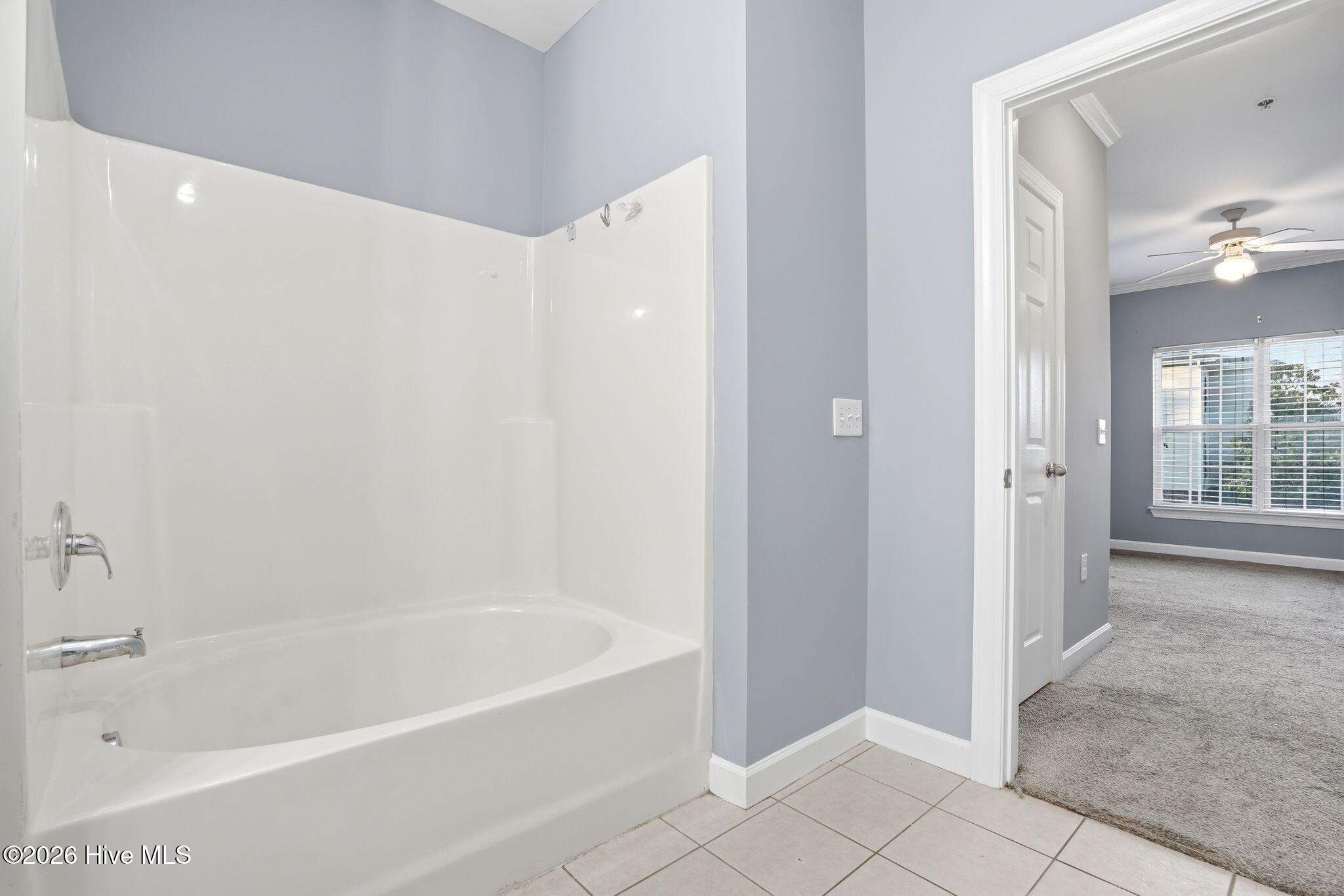 100559771 | Photo 30