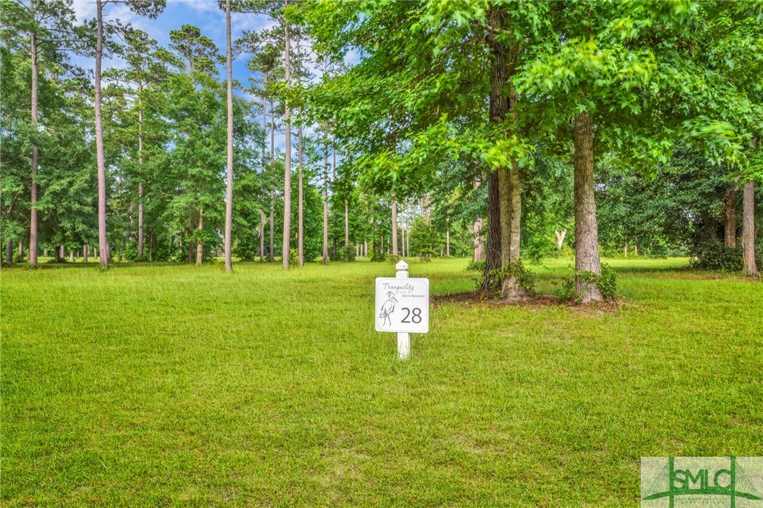 Homes for sale in Townsend, GA | Lot 28 Tranquility Pl, Townsend, GA 31331 | MLS# SA274450
