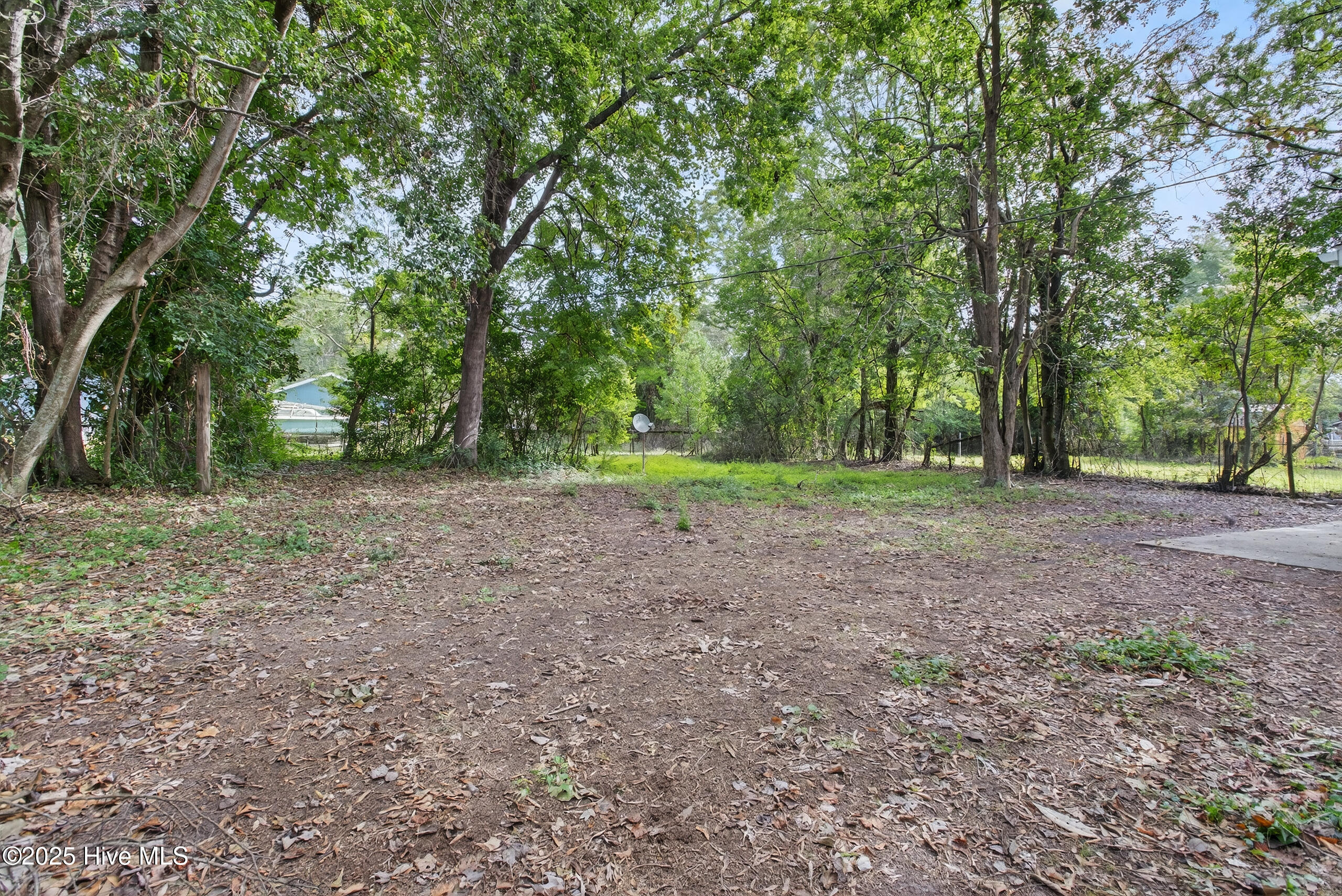 100535237 | Photo 23