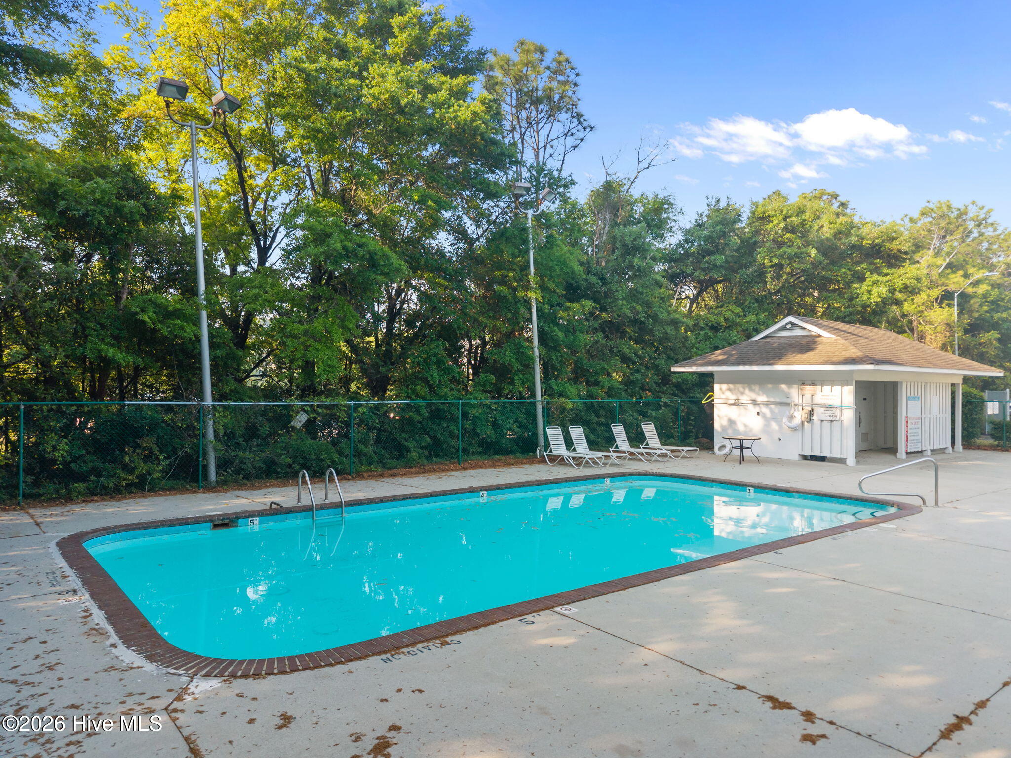 100566557 | Photo 31