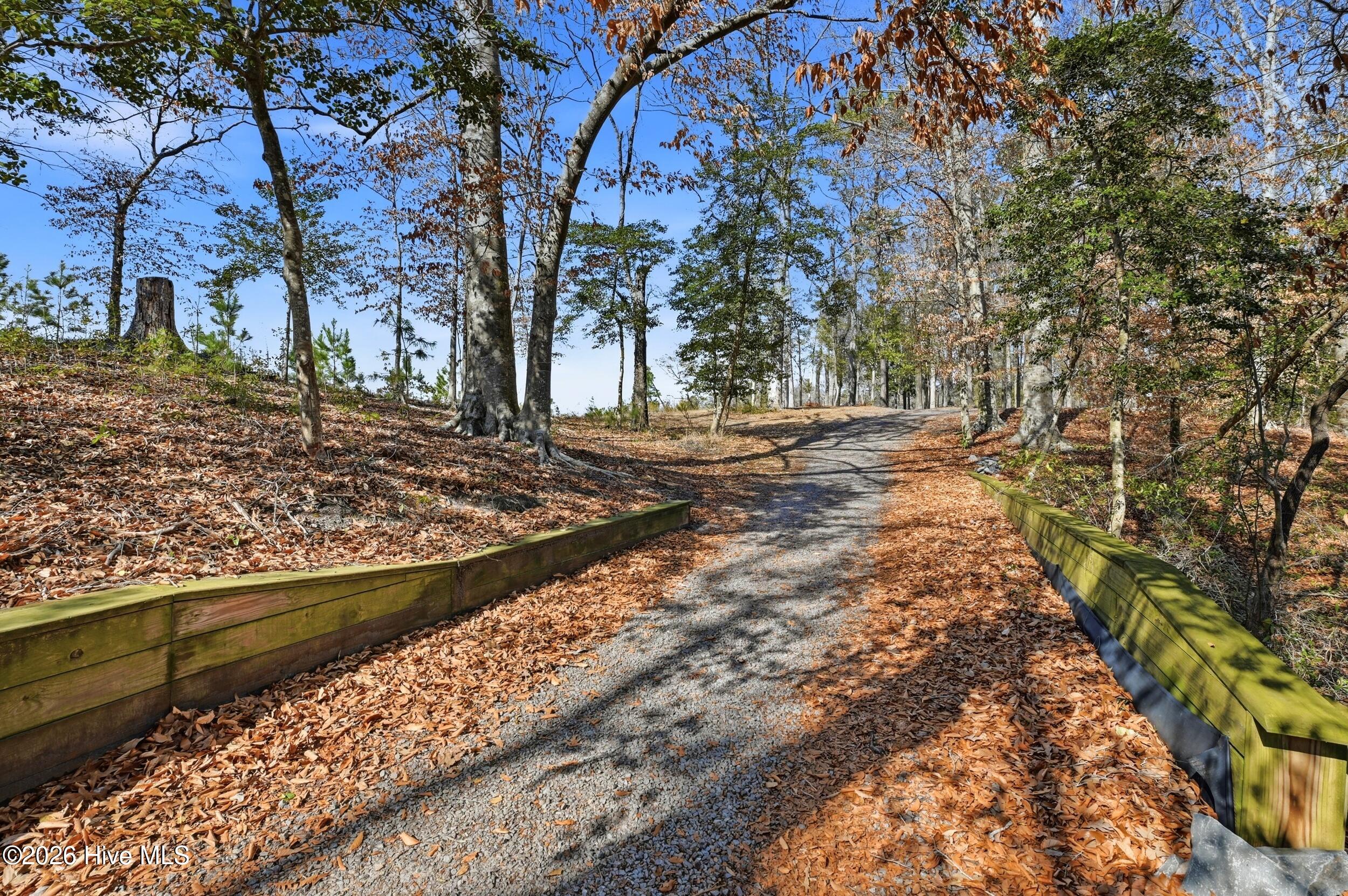 100560979 | Photo 71