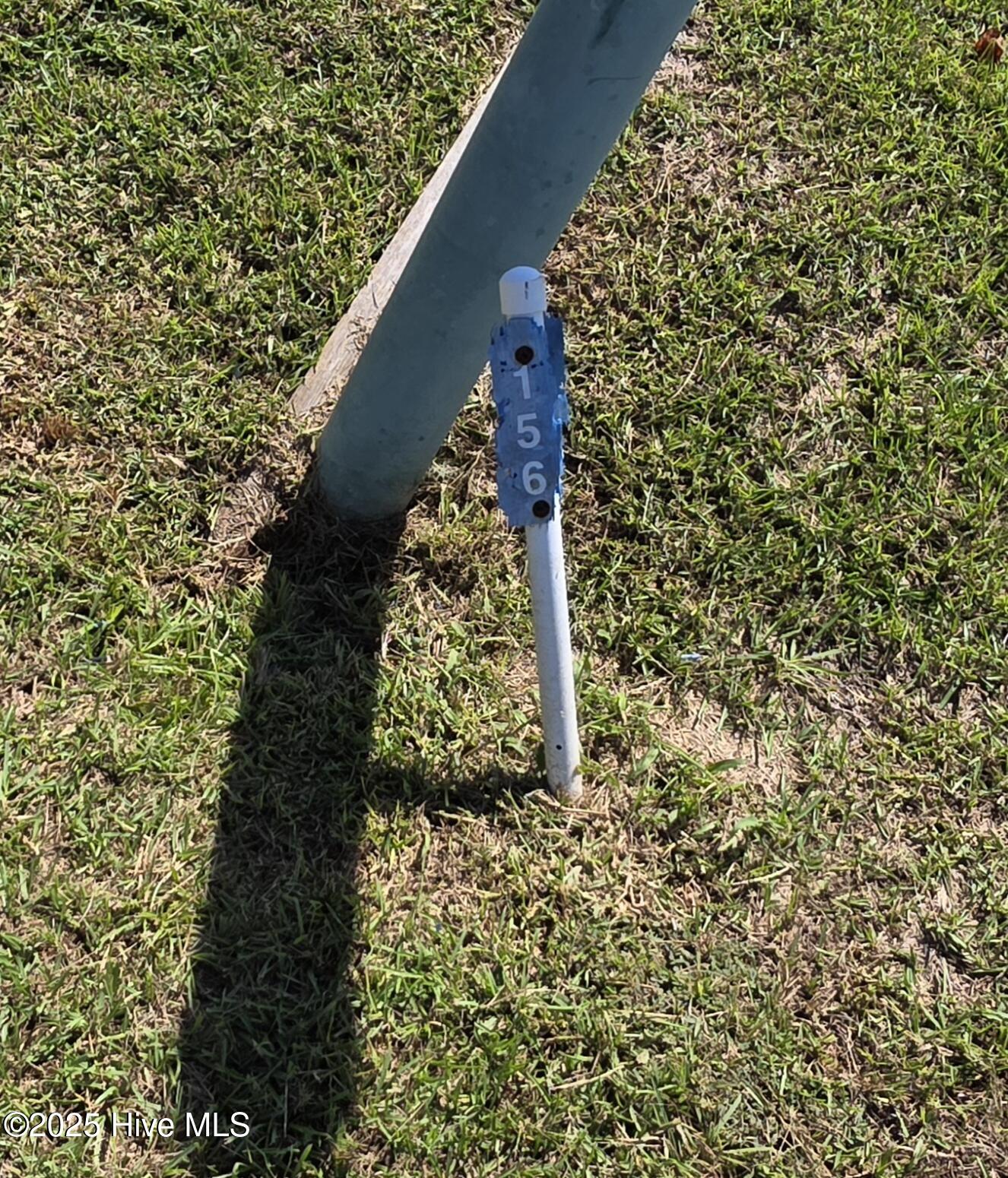 100564274 | Photo 16