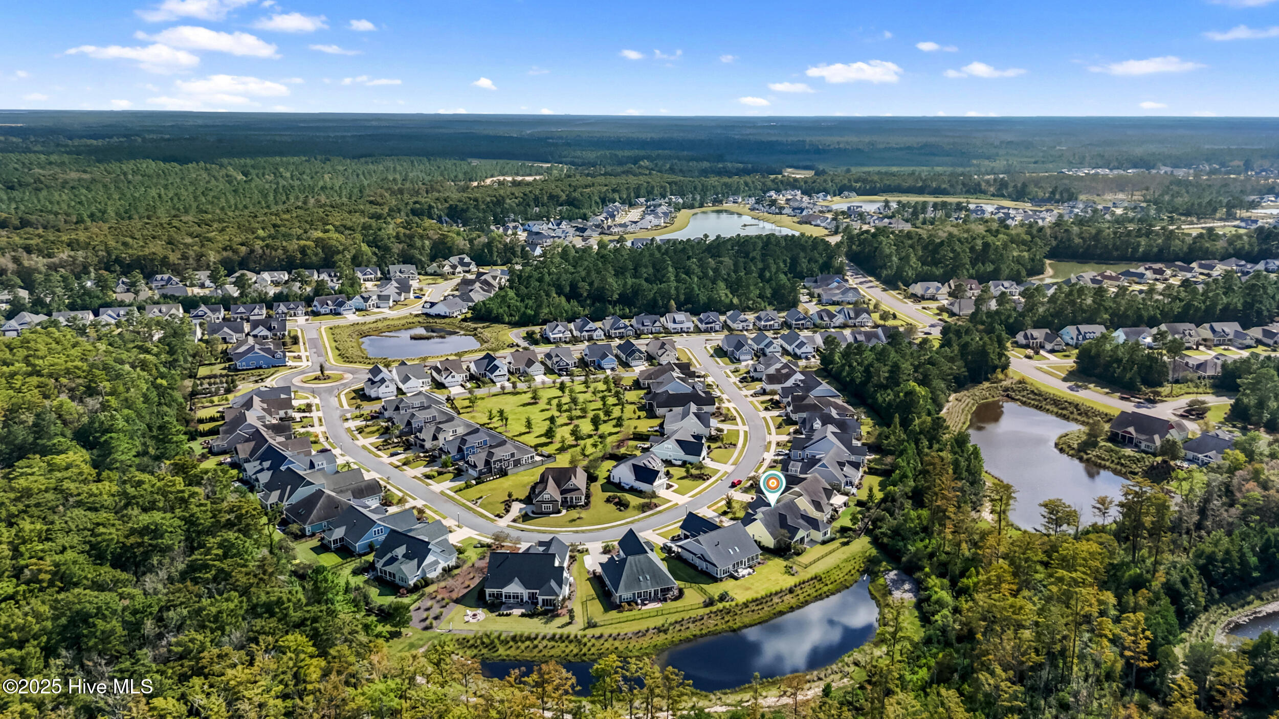 100534390 | Photo 60