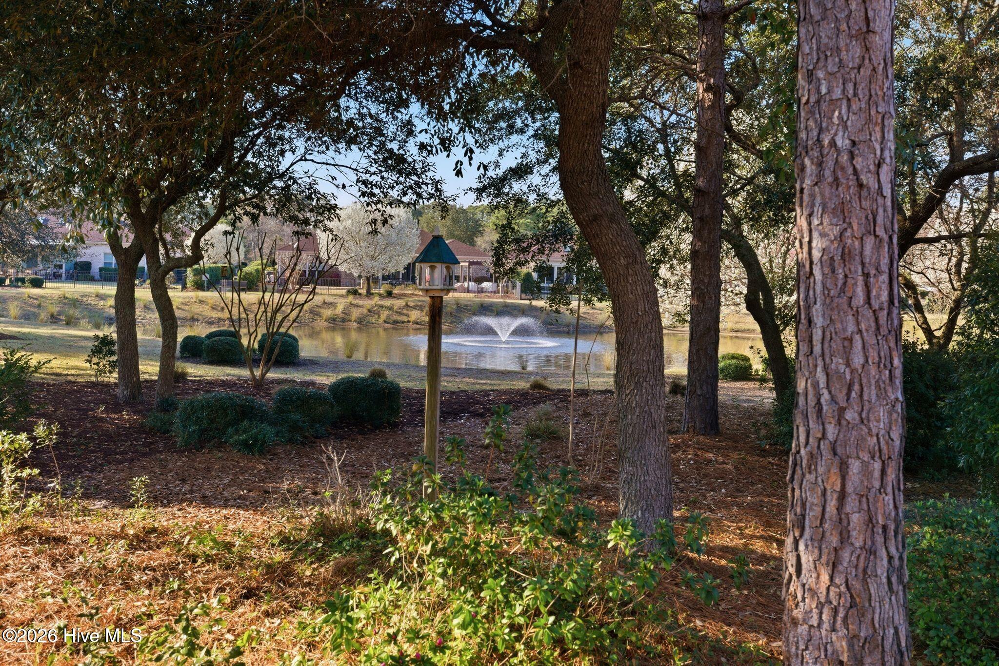 100559645 | Photo 42