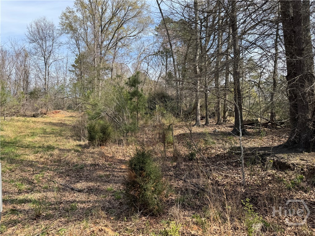 738 Old Mineral Springs Road, Elberton, GA, 30635