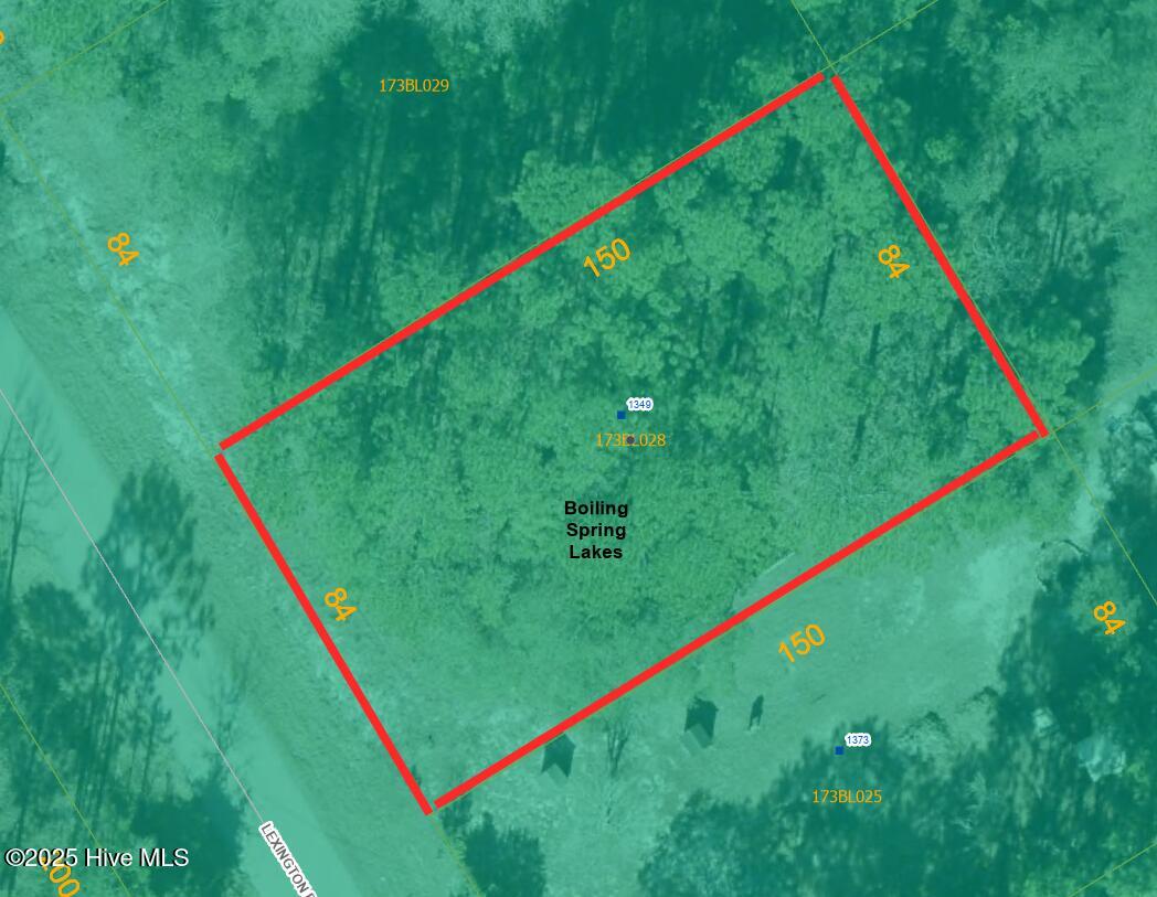 100538717 | Photo 15