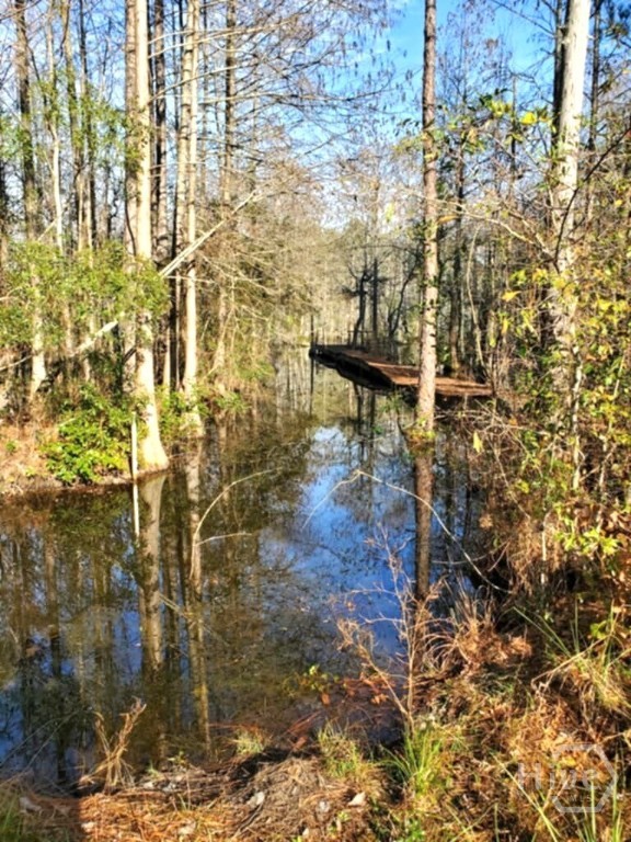 Same Location showing Property Line when Lake is full.