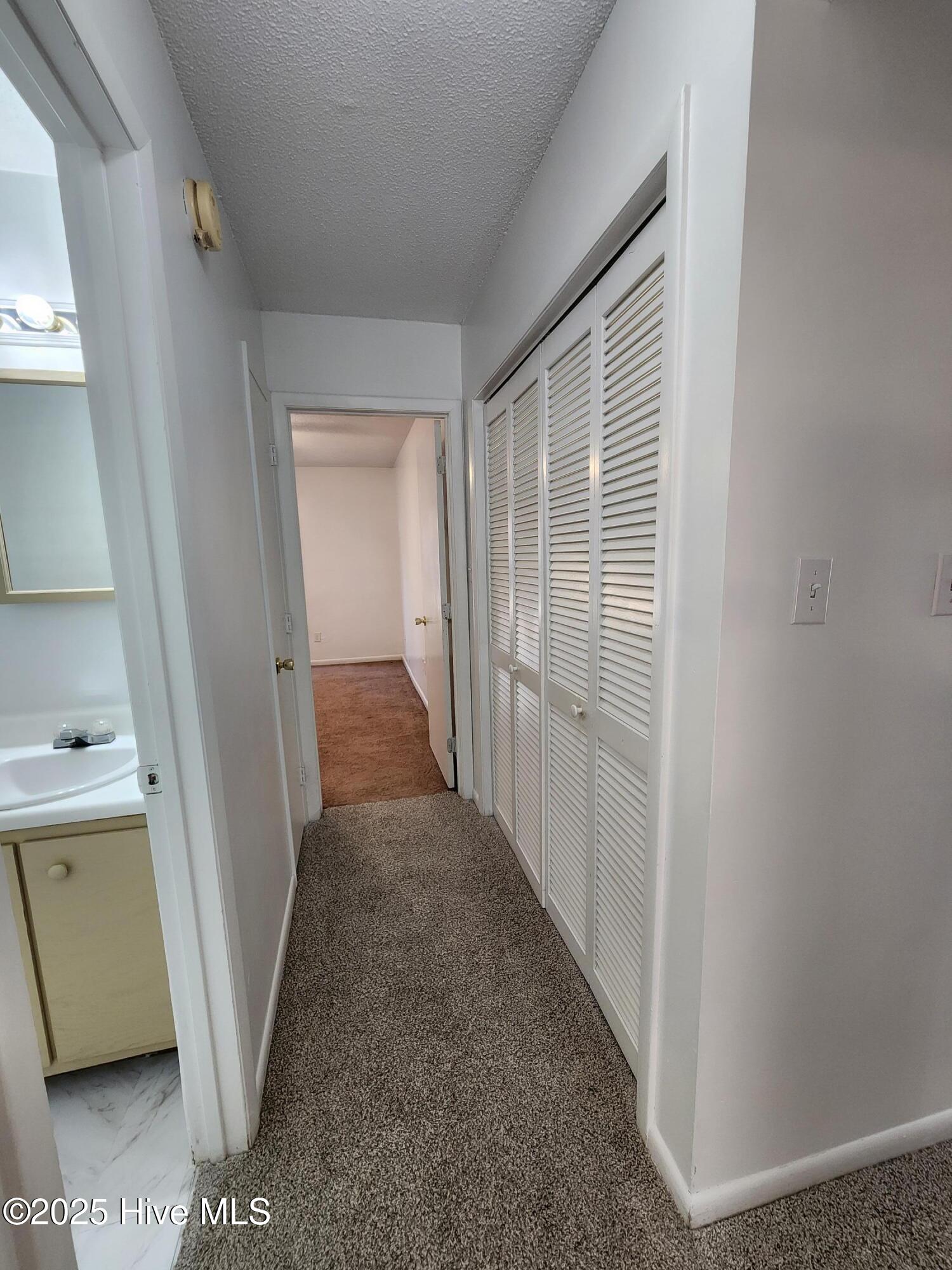 100546811 | Photo 11