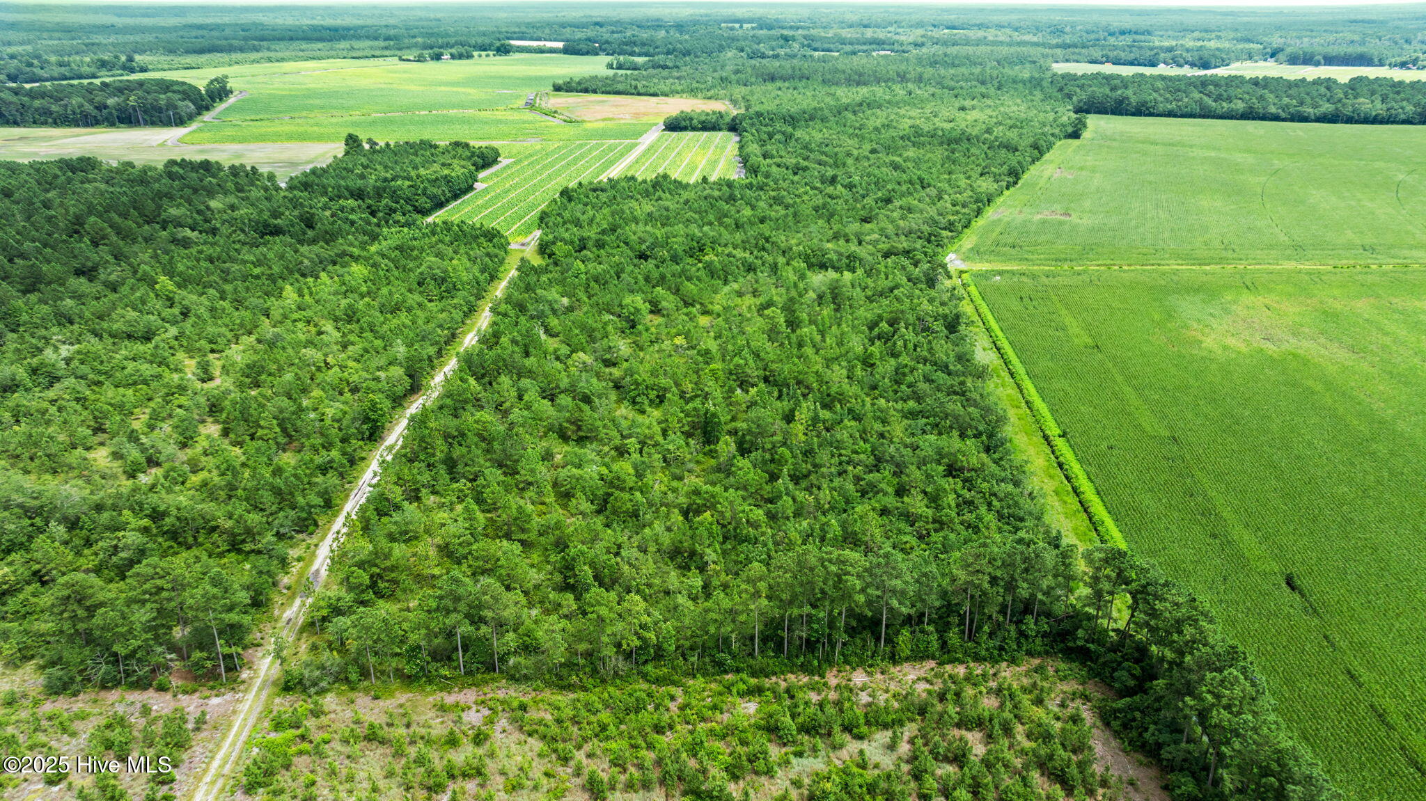 0 Green Sea Road, Garland, NC, 28441