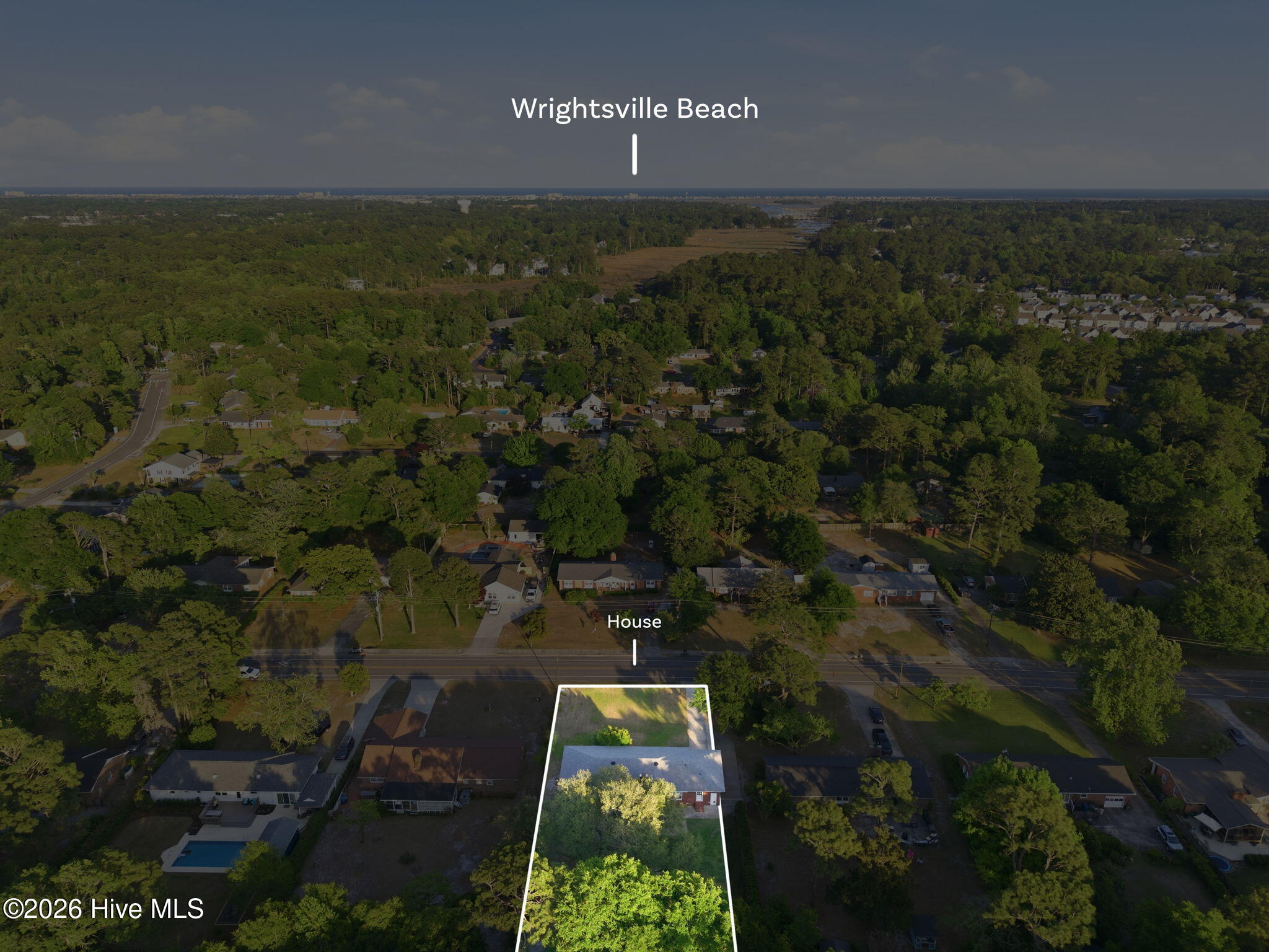 100569519 | Photo 50