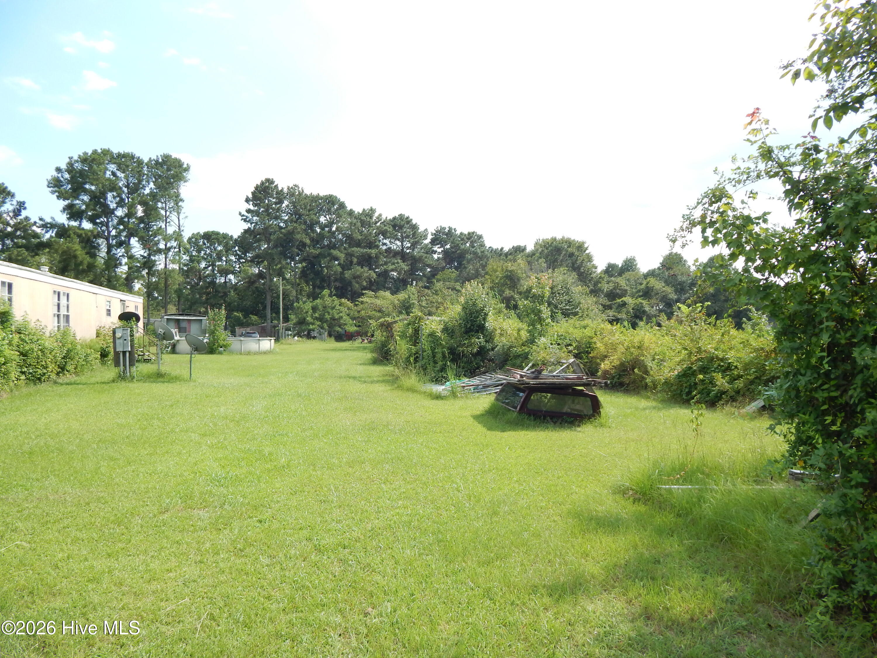100600796 | Photo 3