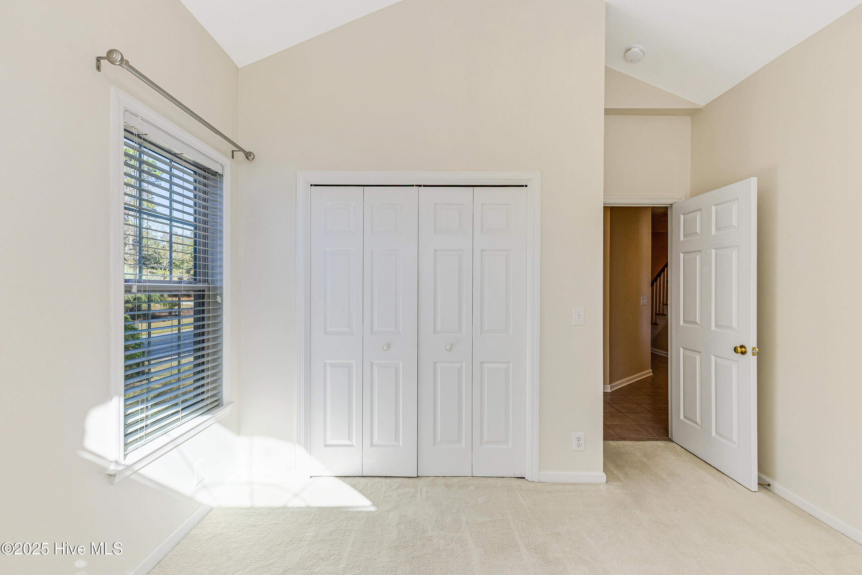 100540524 | Photo 15