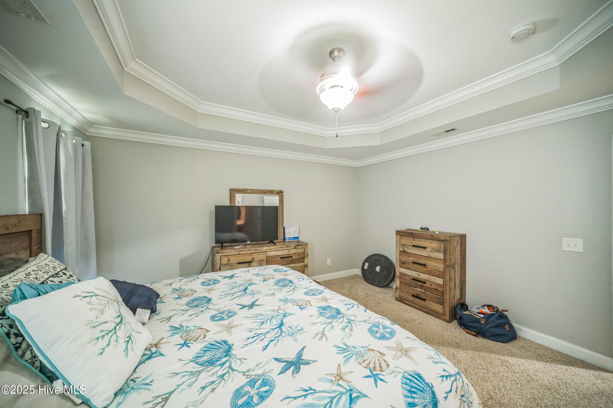 100517815 | Photo 16