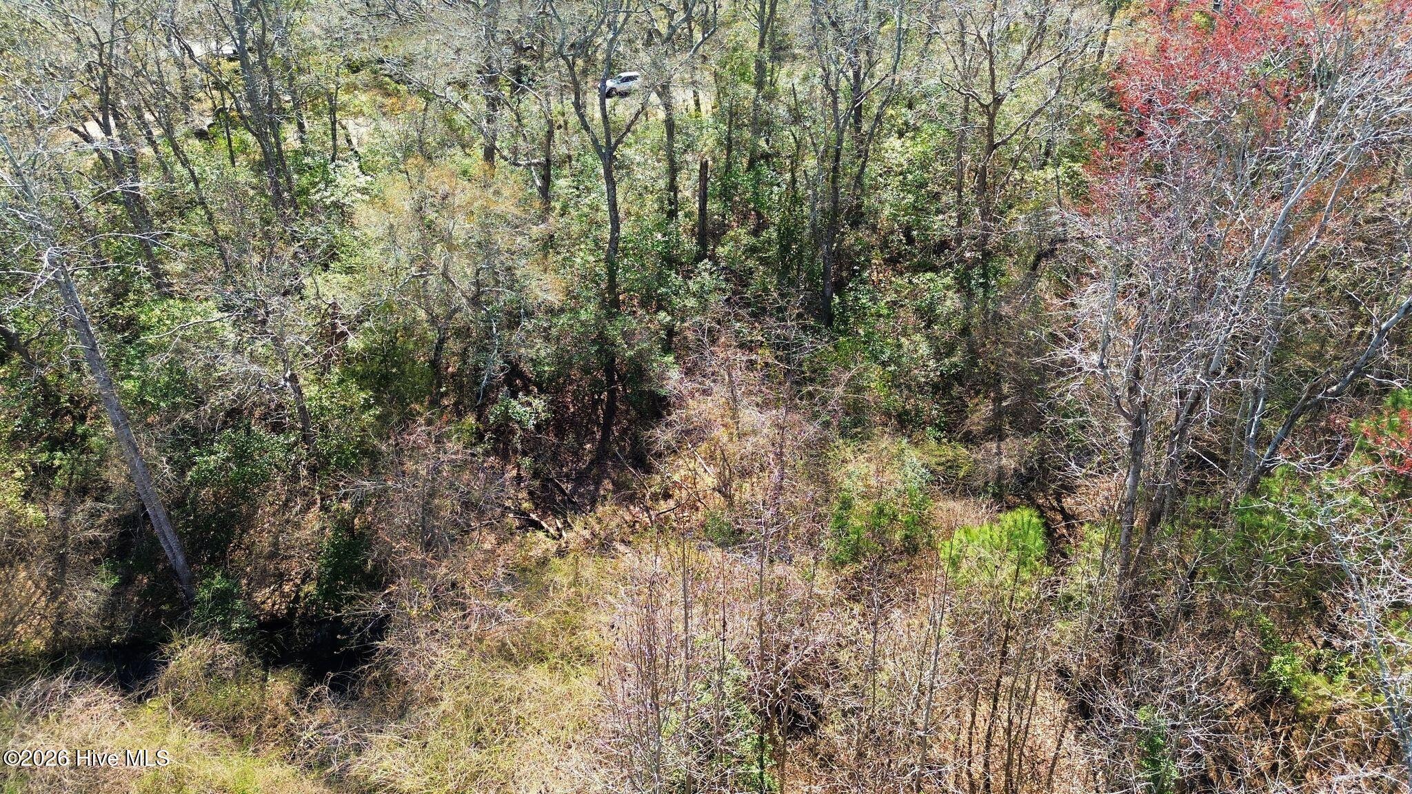 100560129 | Photo 28